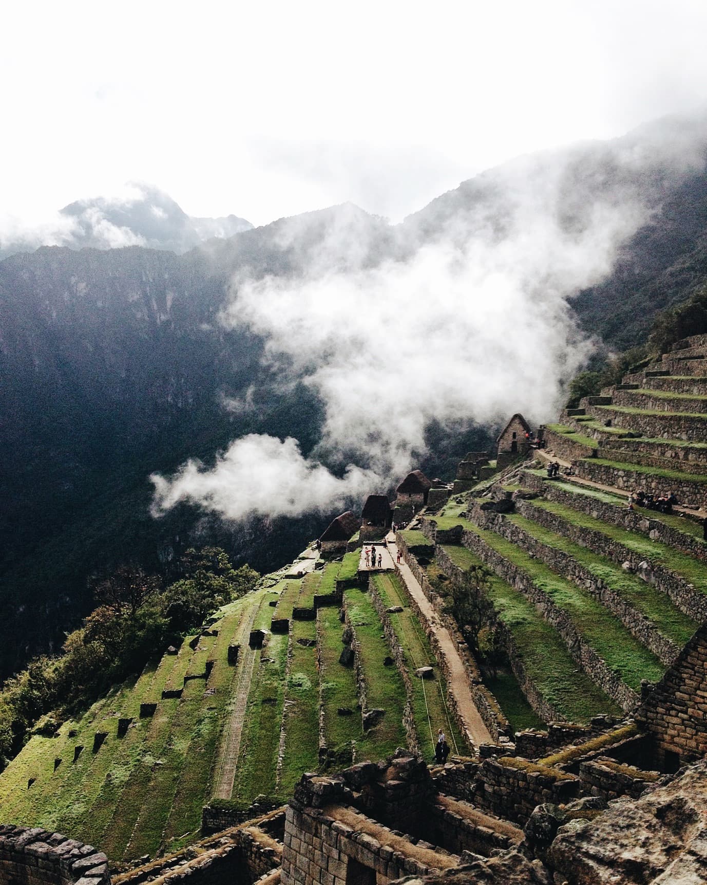 Beautiful view of terraced rice fields and a low hanging cloud with mountains in the distance