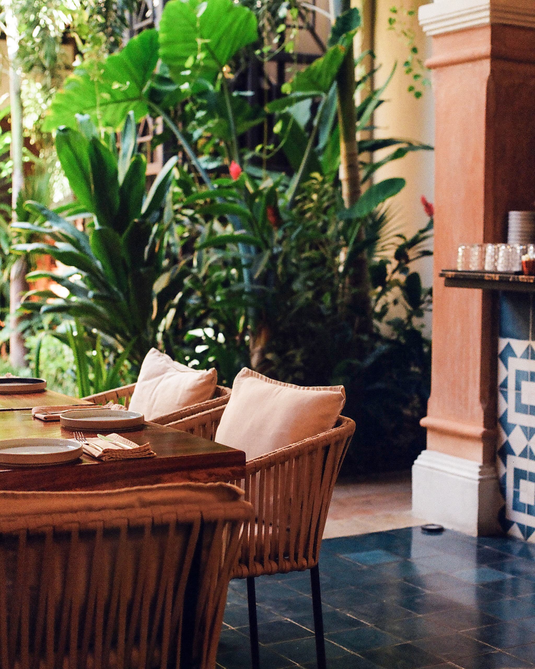 A peaceful hotel lobby with two cushioned chairs and plants in the background