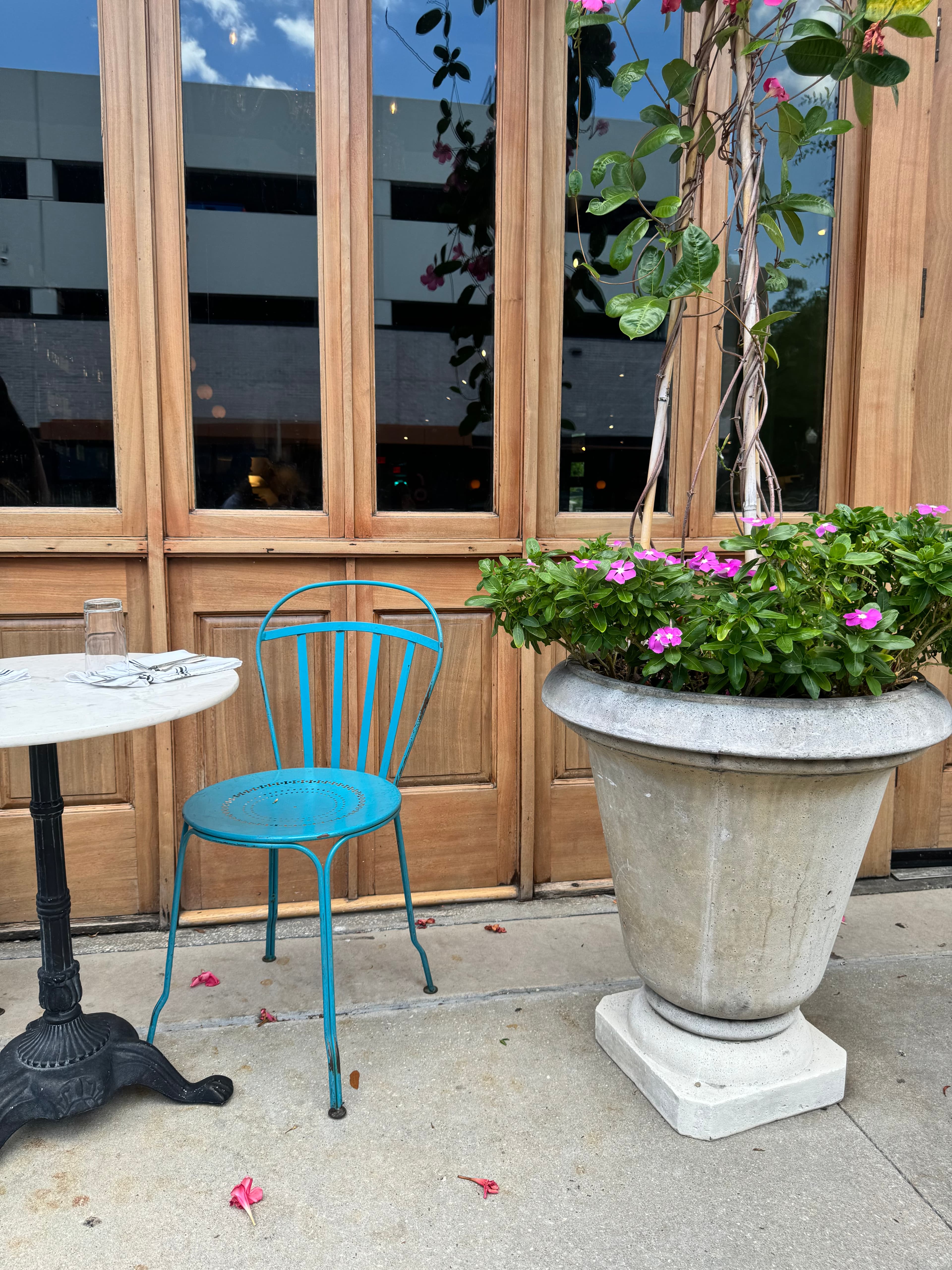 An outdoor table with a blue chair and a beautiful potted plant.