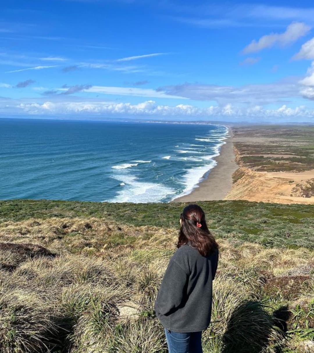 Advisor standing on a grassy cliff with the ocean in the distance on a sunny day.