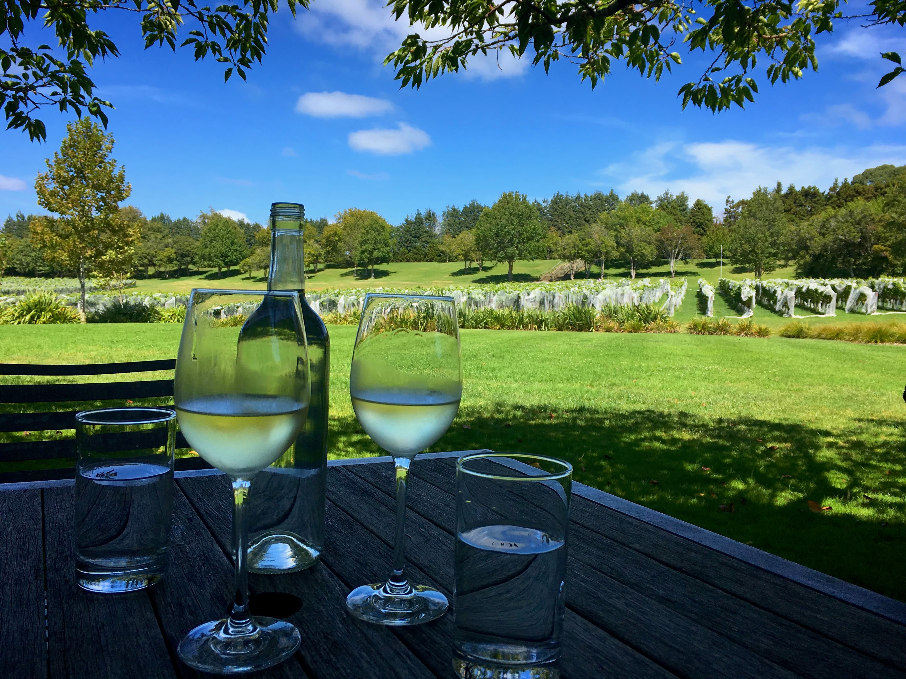 A view of two glasses of white wine and a bottle on a table with a a view of lush gardens.