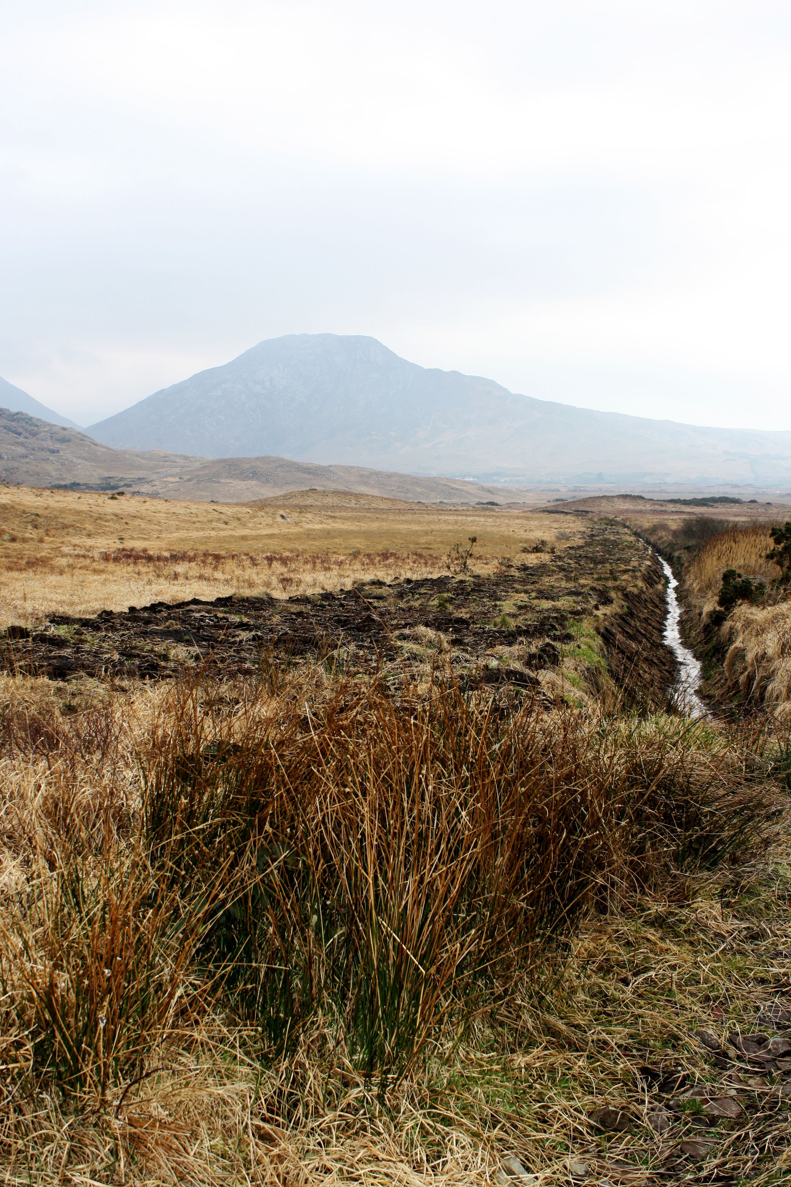 An open field of yellow grass and a narrow brook leading to a mountain peak glazed in a foggy haze.
