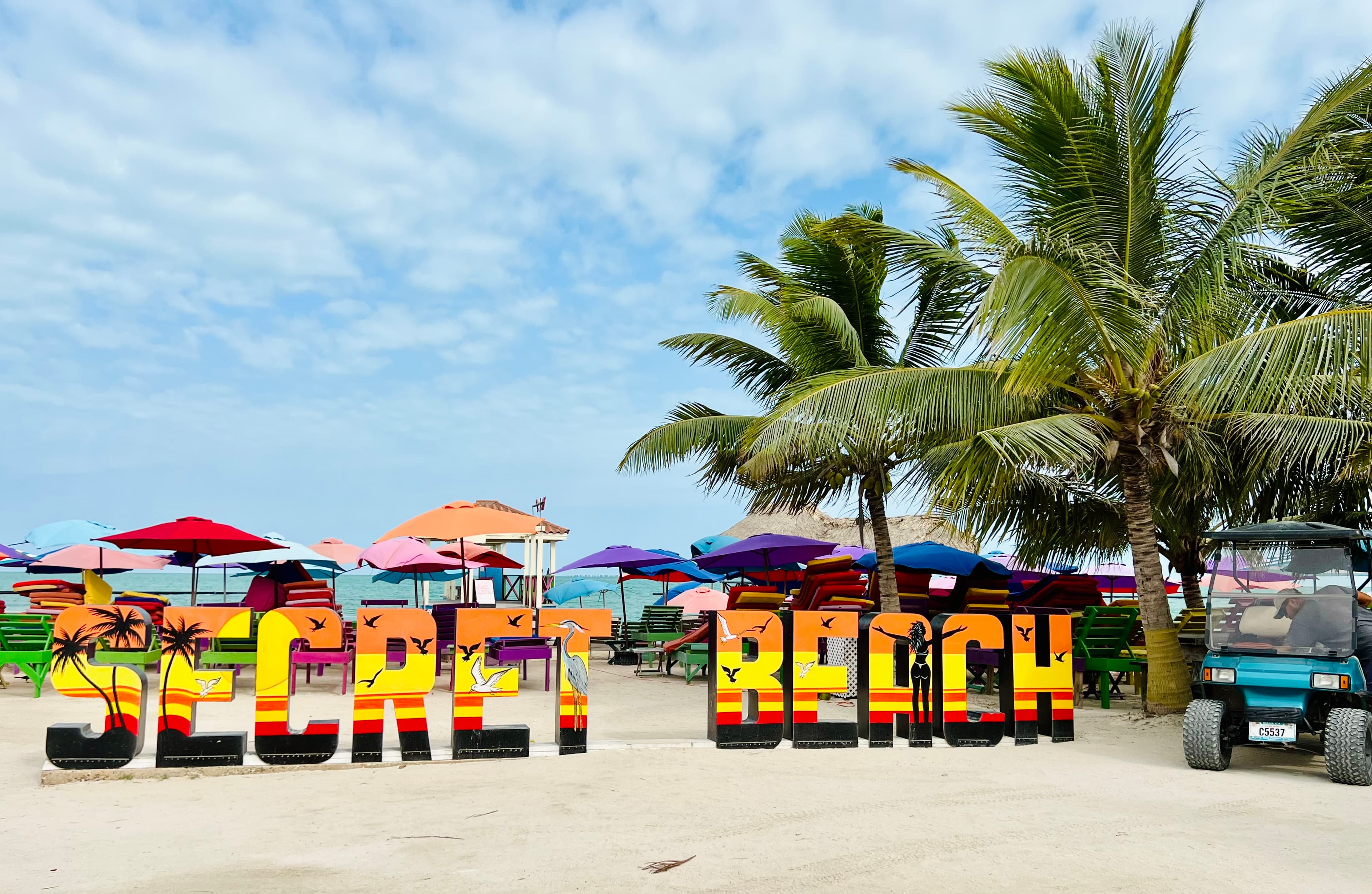 A view of the beach on a sunny day with palm trees.