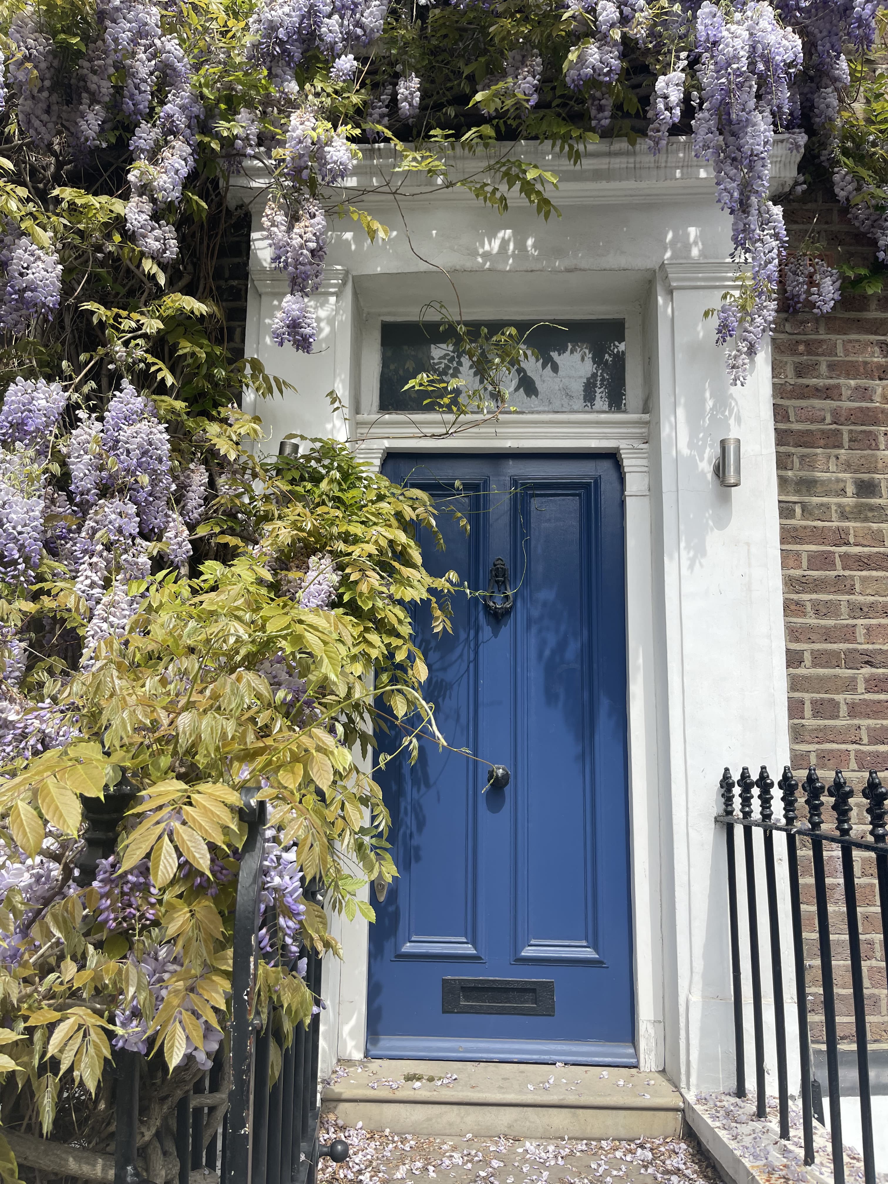 A blue door surrounded by purple wisteria in a brick building.