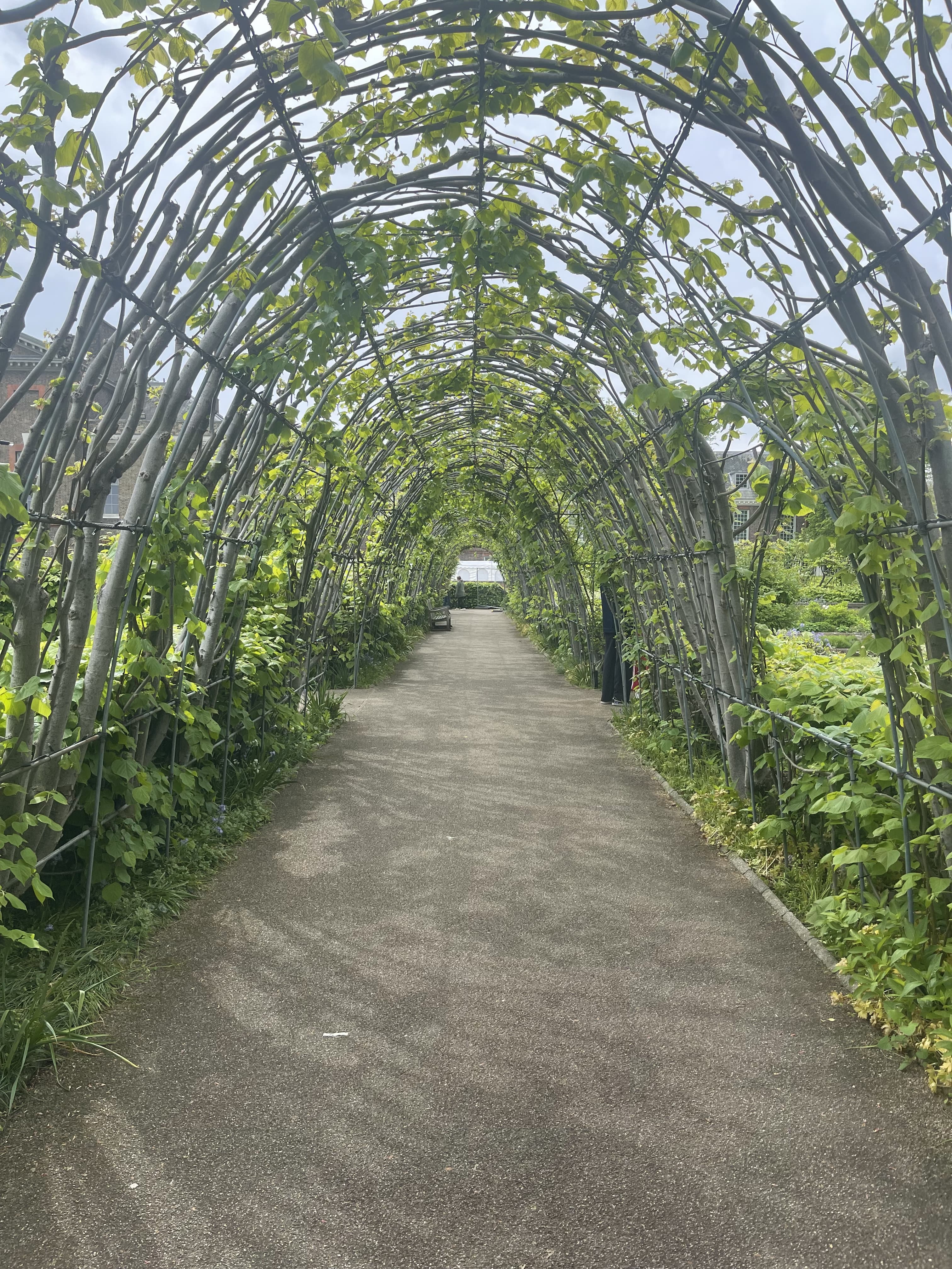 Walkway through a green trellised archway.