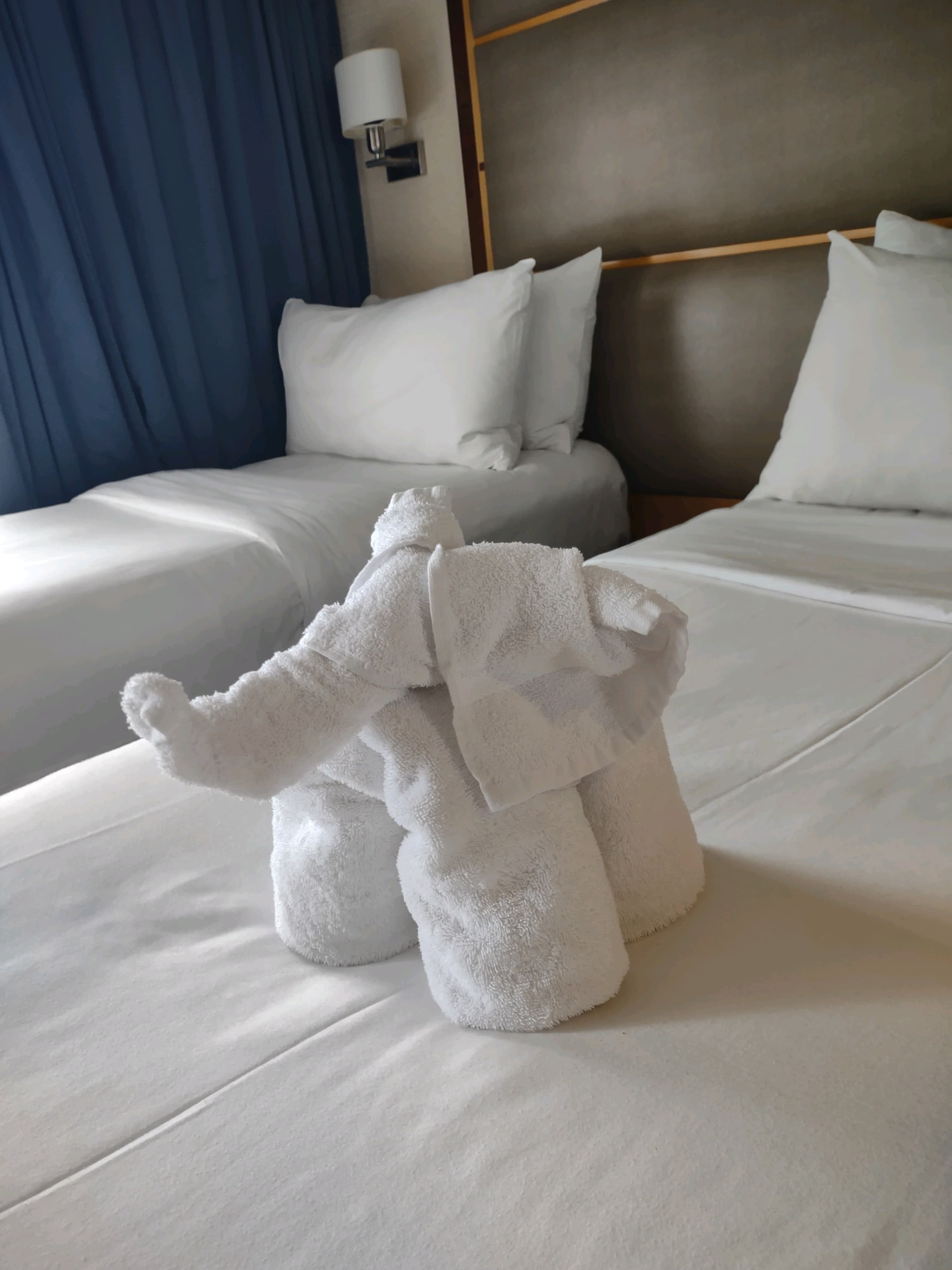 Photo of a white towel folded as an elephant on a hotel bed