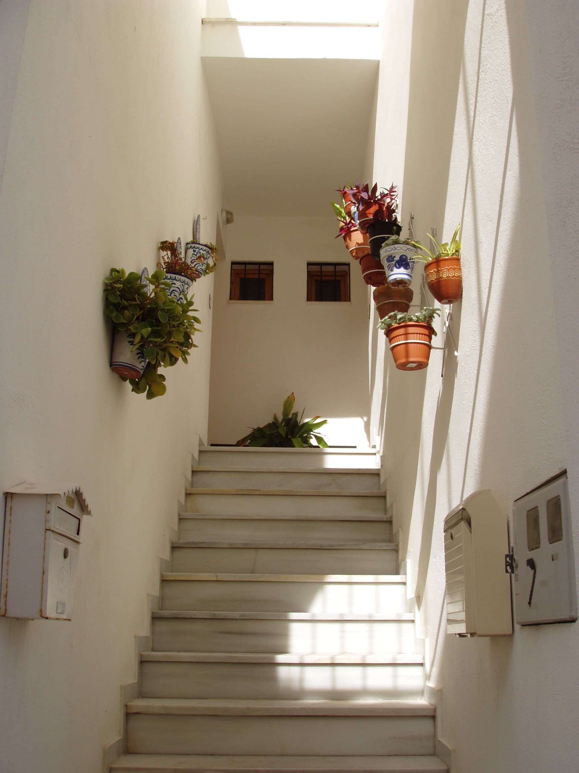 An image of a white entry way with stairs and flower pots lining the walls.