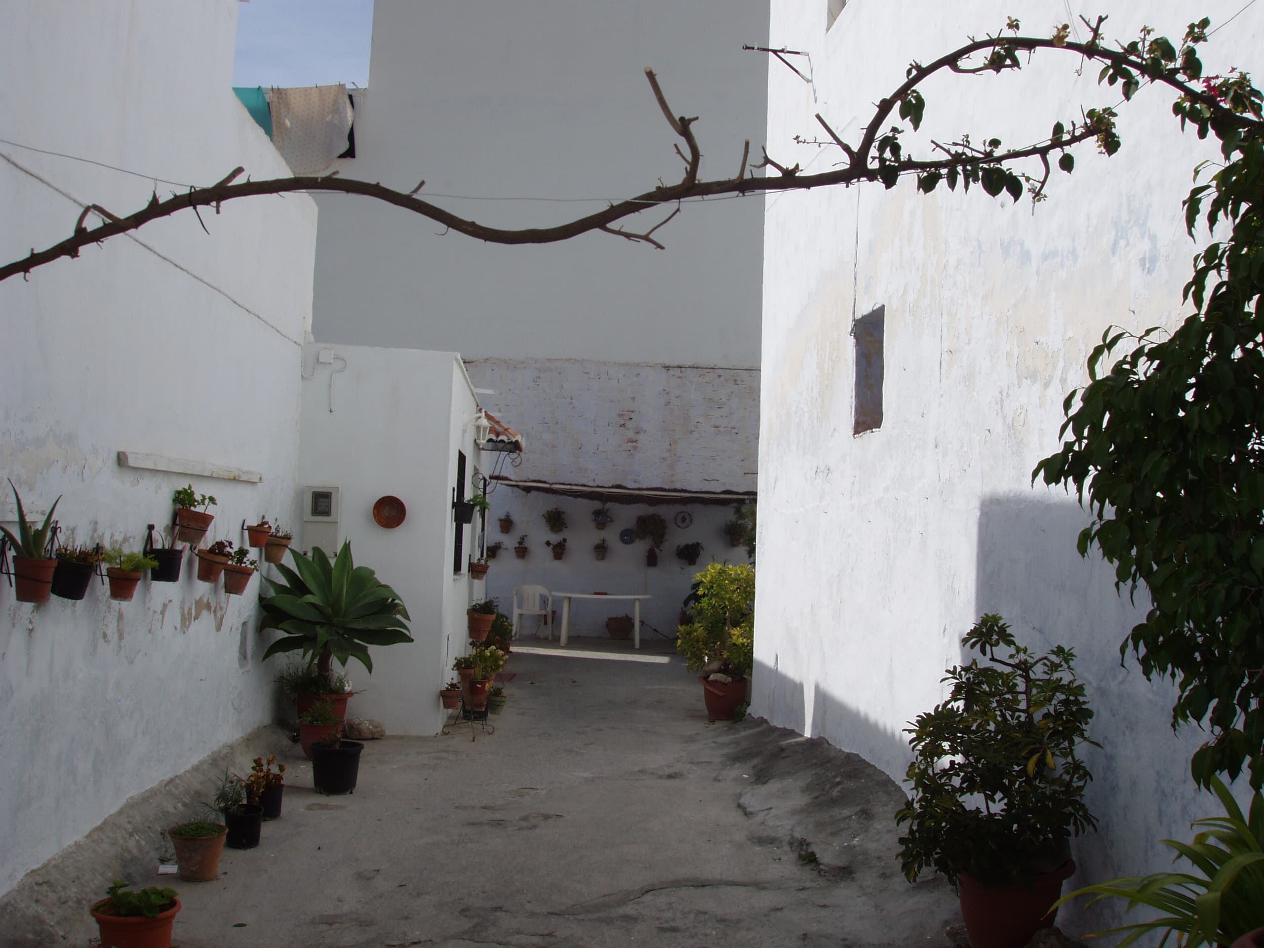 Image of white building with foliage during the day time.