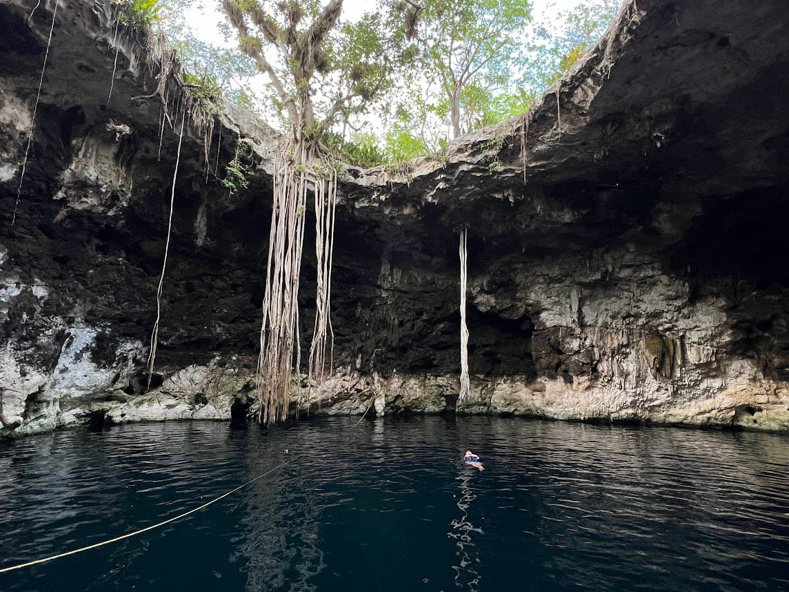 An image of the inside of a cenote with a fresh water pool and foliage in the distance above the surface.