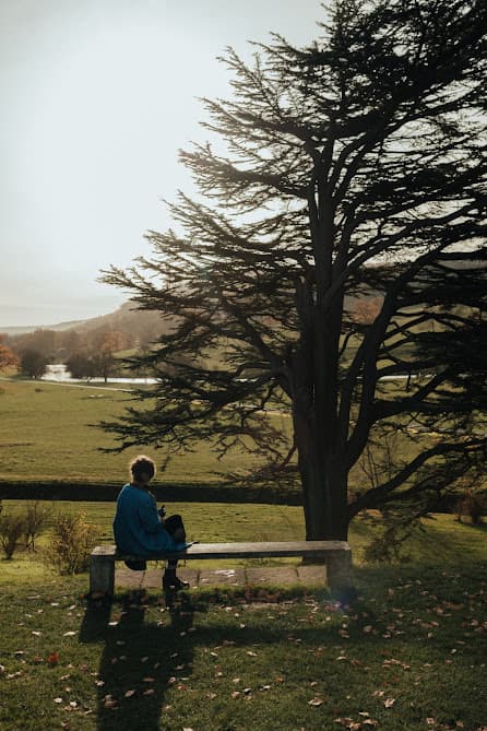 Advisor sitting on a bench in a park surrounded by foliage on a sunny day.