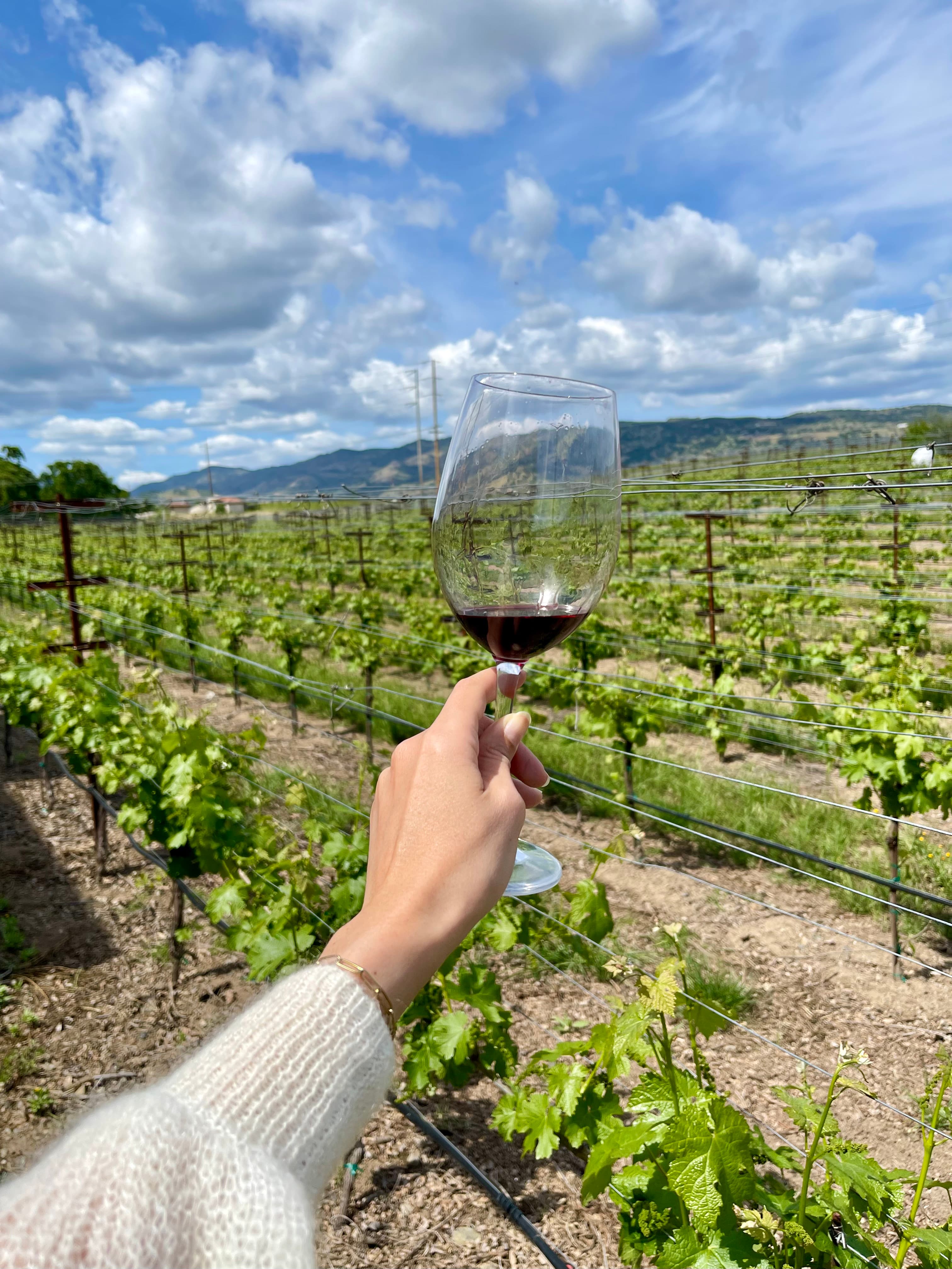 Rayana’s hand holding a glass of red wine with green vineyards stretching out into the distance under sunny skies