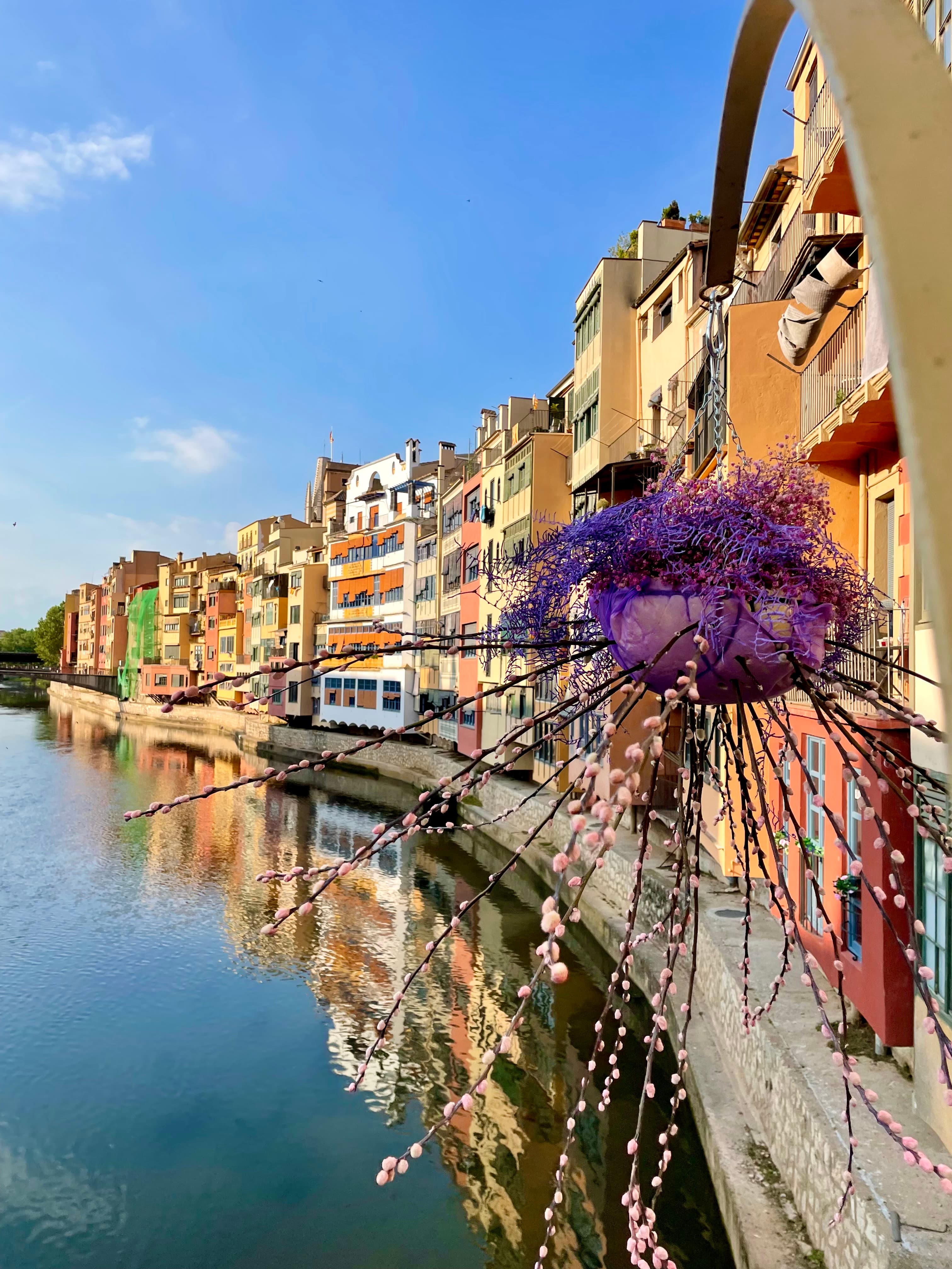 An image of a water way lined with colorful buildings and a large purple flower decoration on a sunny day.