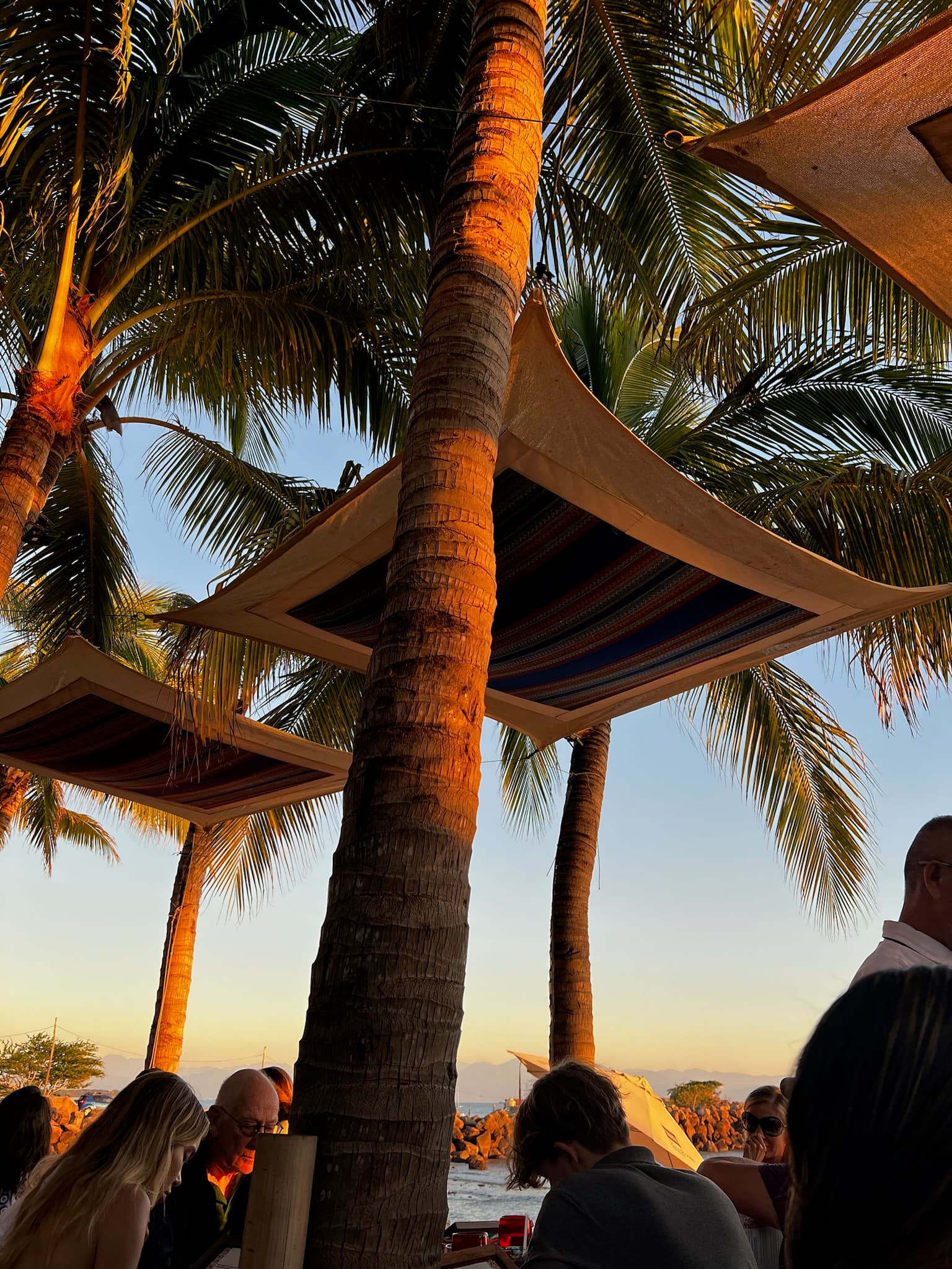 A view of palm trees on a sunny day near a beach with a group of people in the distance.