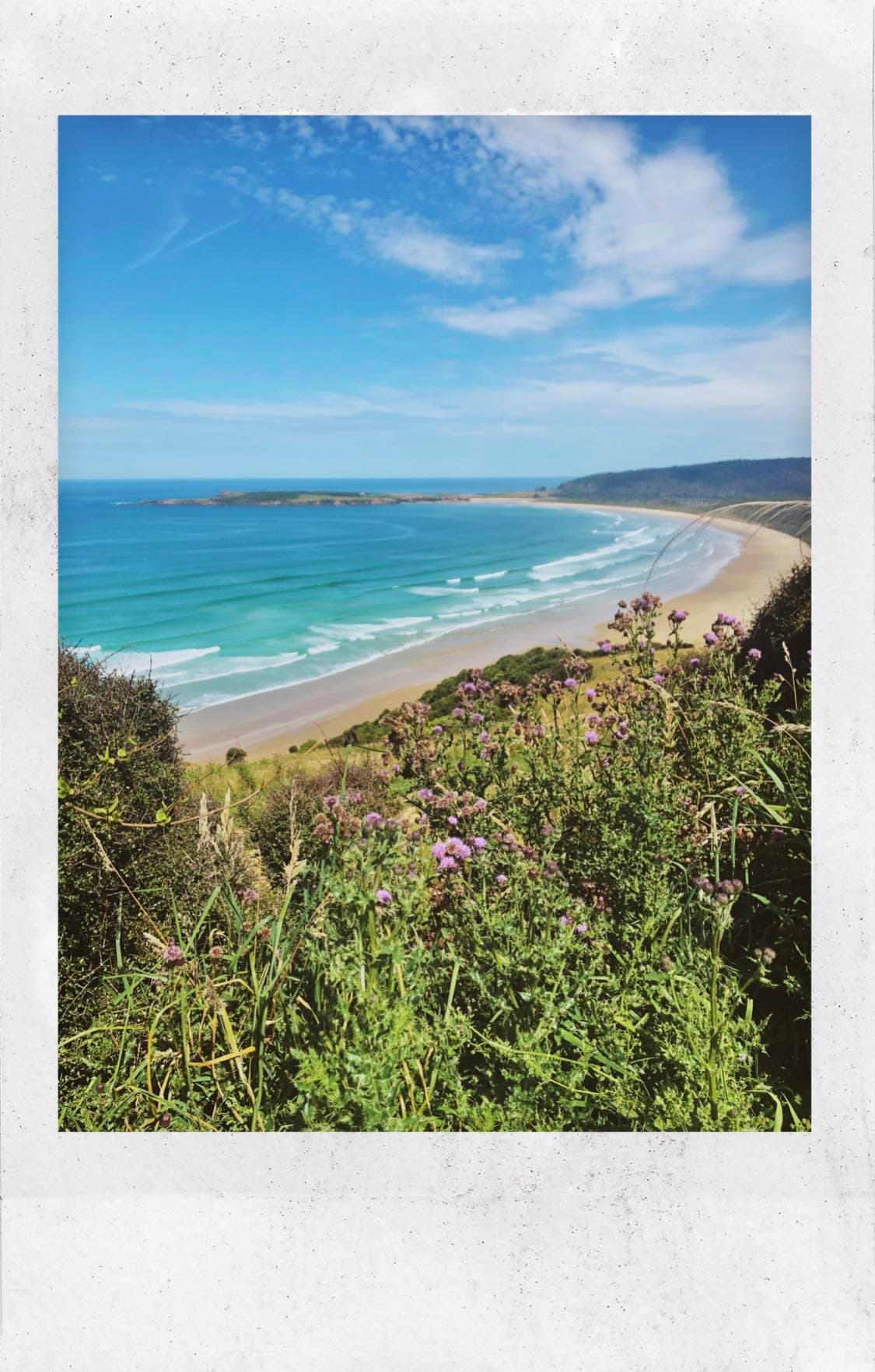 Polaroid photo of the beach during the daytime.