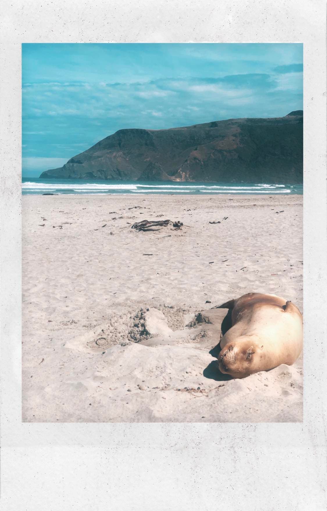 Polaroid photo of the beach during the daytime.