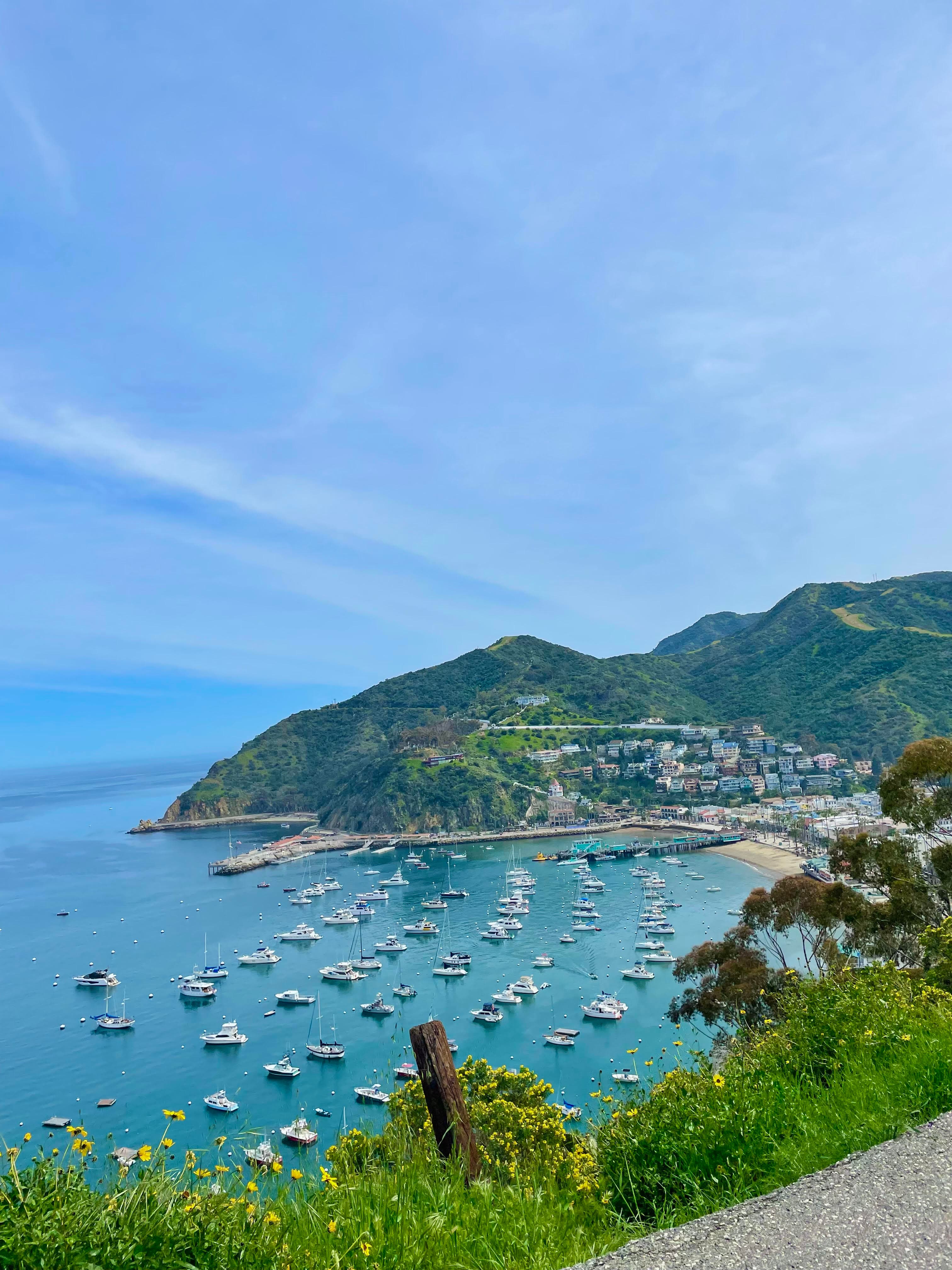 Beautiful aerial view of a marina in Catalina with many small boats and a pier against lush green hills