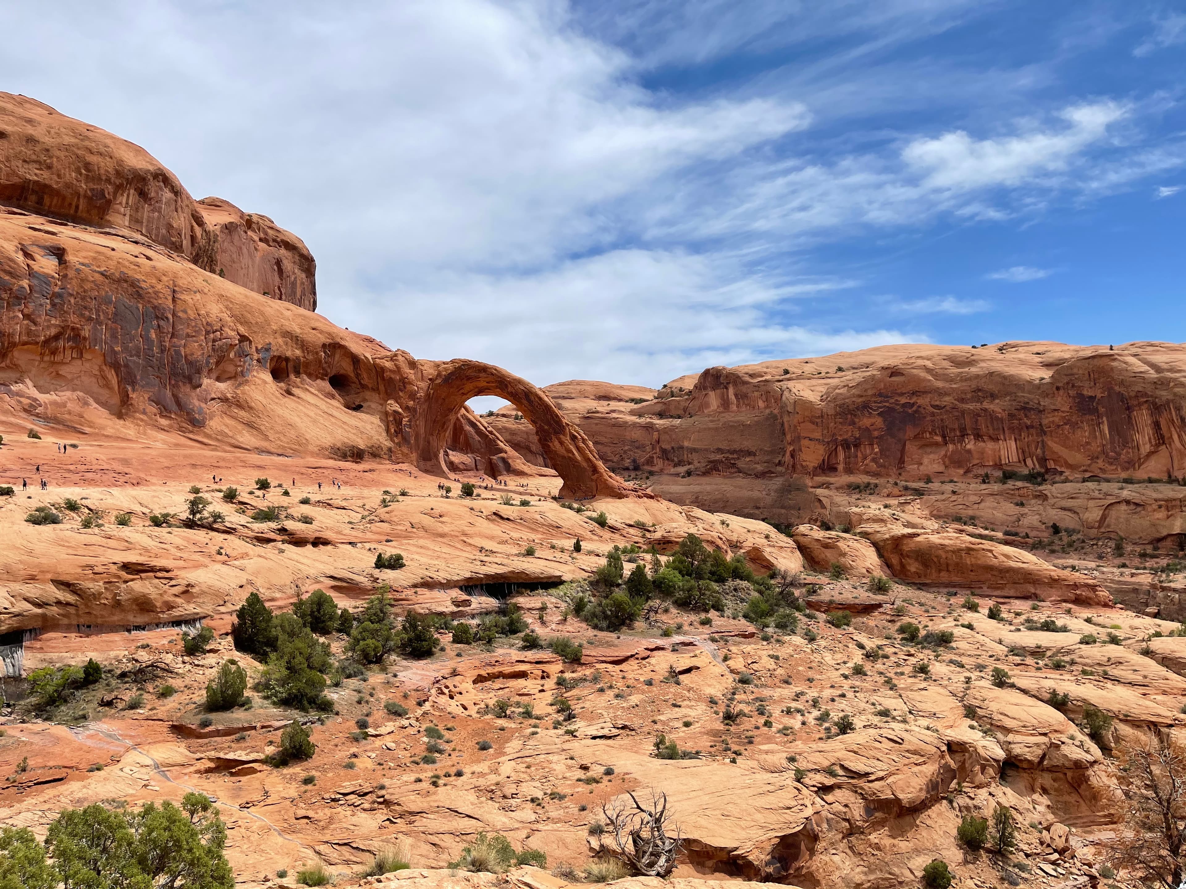 Beautiful view of an orange/red canyon with small plants on a sunny day