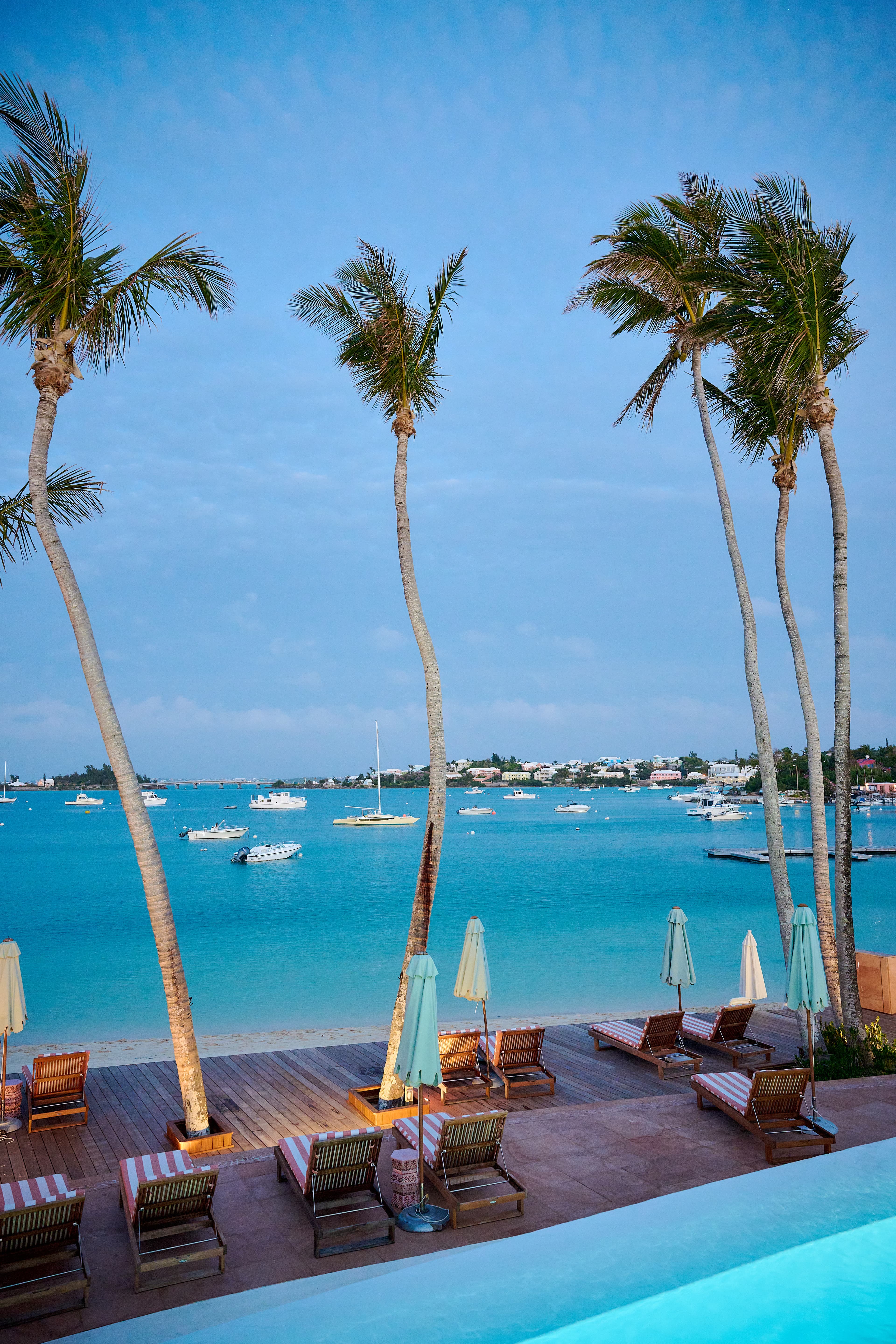 Pretty view of tall skinny palm trees and lounge chairs along a bright blue sea with small boats anchored in the distance