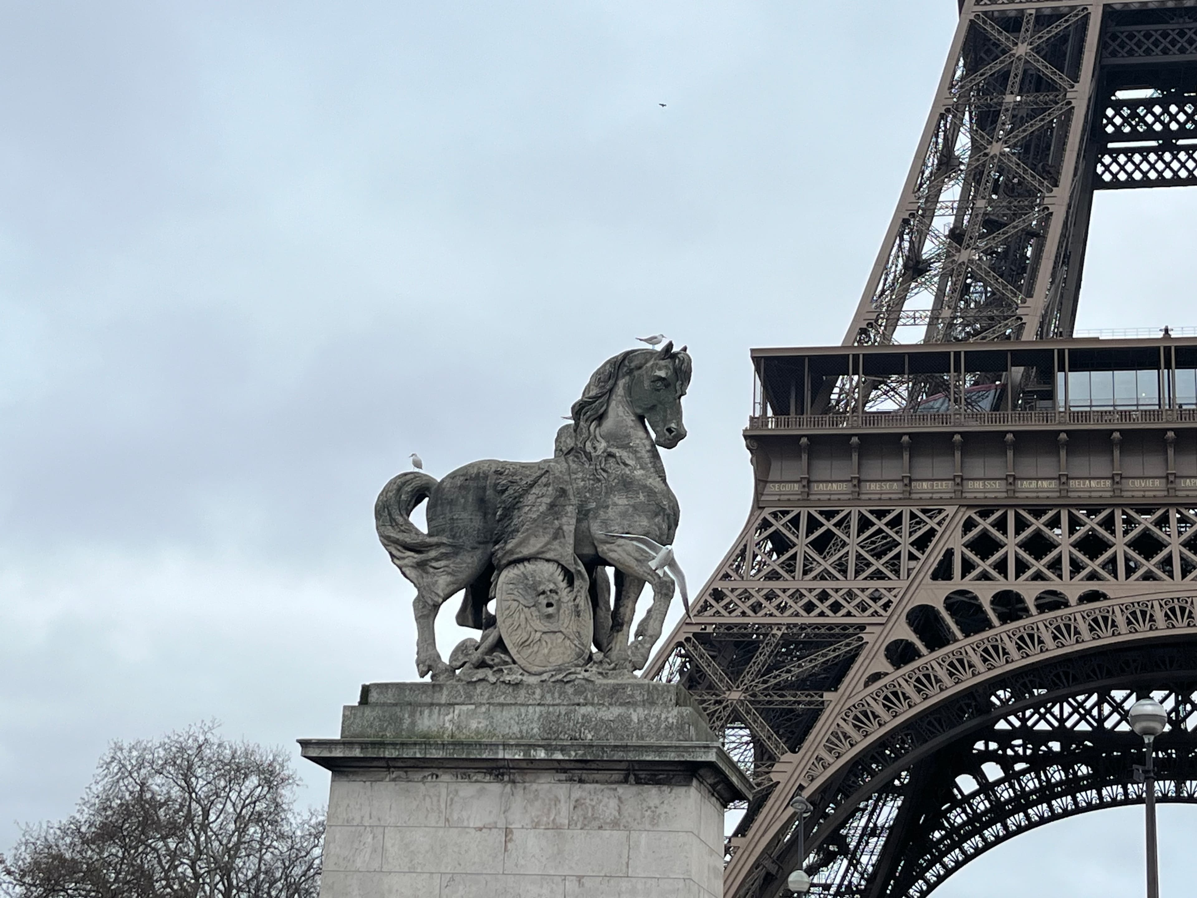 View of a horse statue with the Eiffel Tower visible behind it on a cloudy day