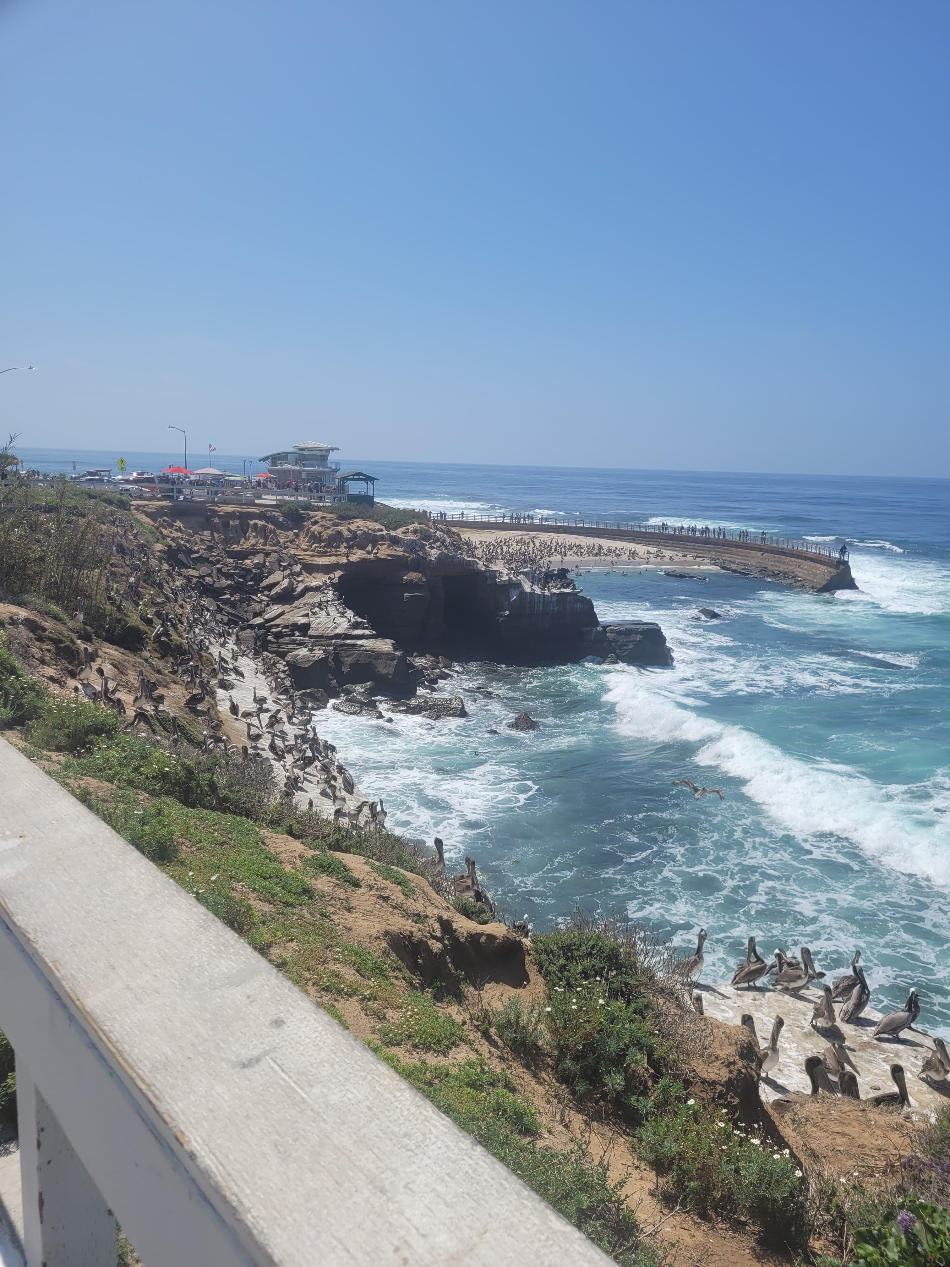 Ocean view along cliffs with waves crashing on a sunny day.