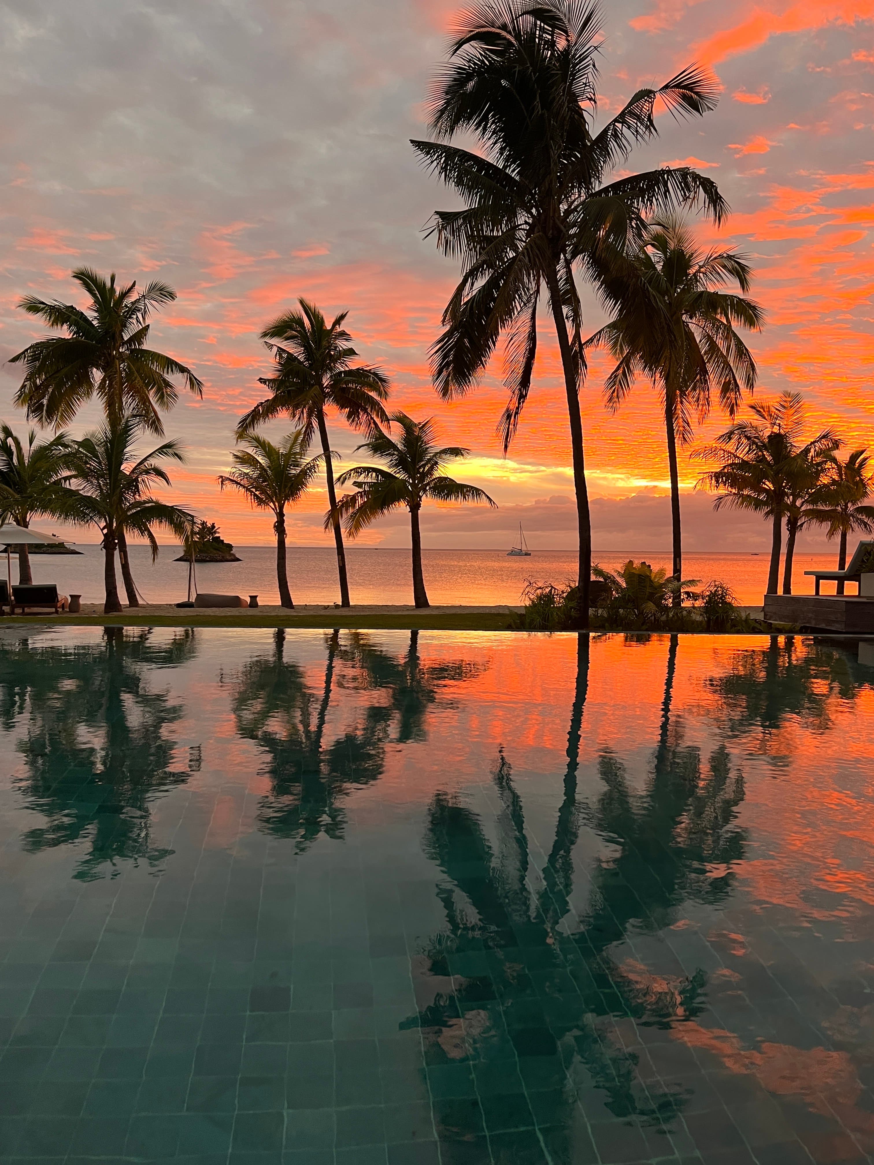 A colorful sunset overlooking the ocean with the silhouette of palm trees.