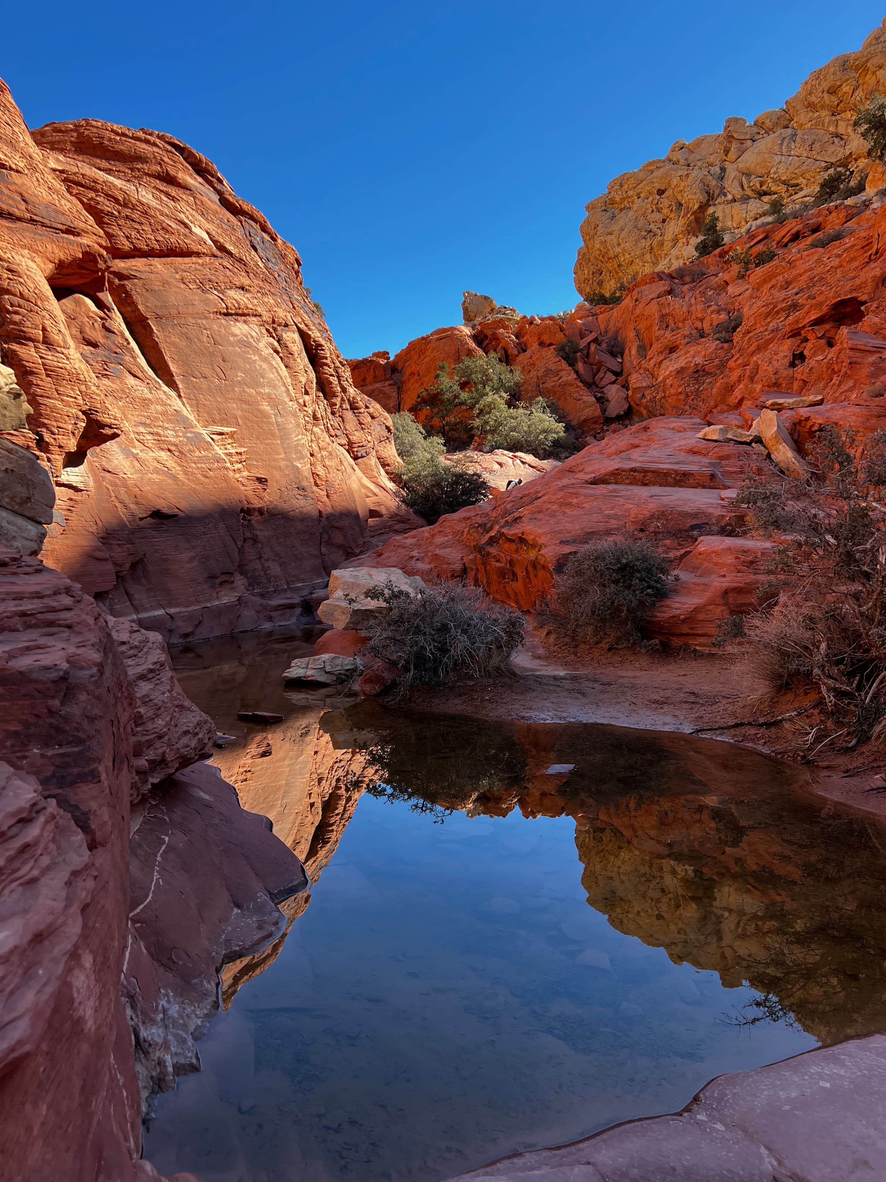 A view of a canyon in the desert with a slow moving river on a sunny day.