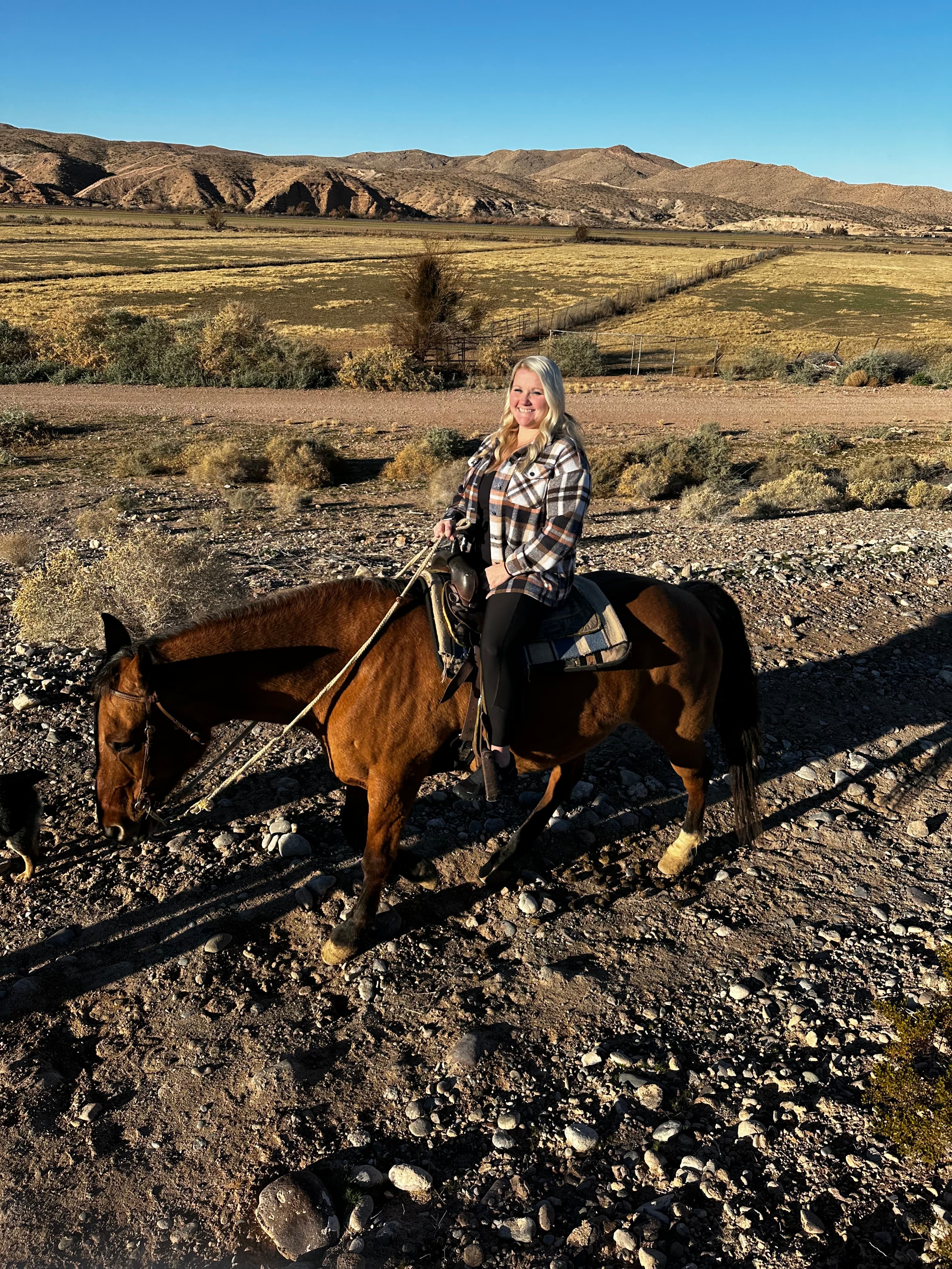 Advisor riding a horse in a country setting with a grassy plane and mountain scape in the distance on a sunny day.