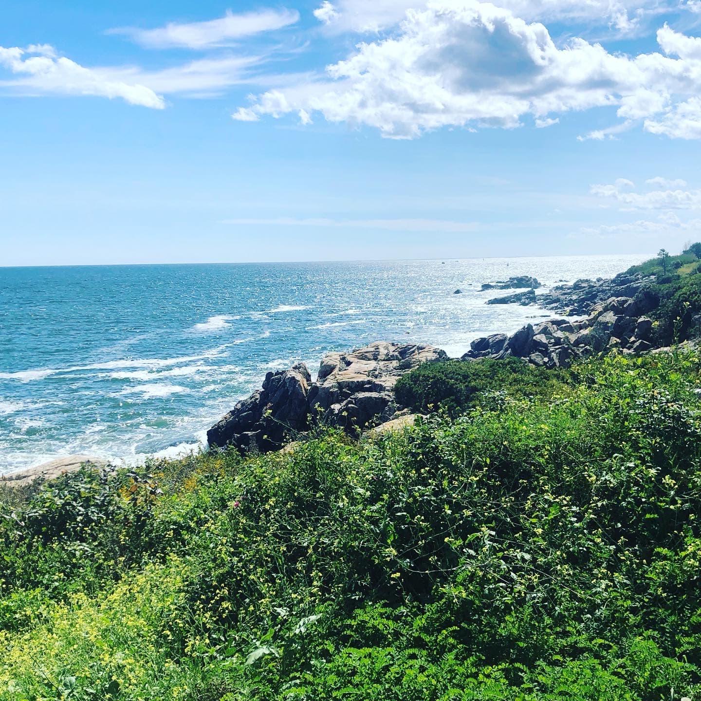 A rocky coastline with green foliage growing and a view of the ocean waves during the day.