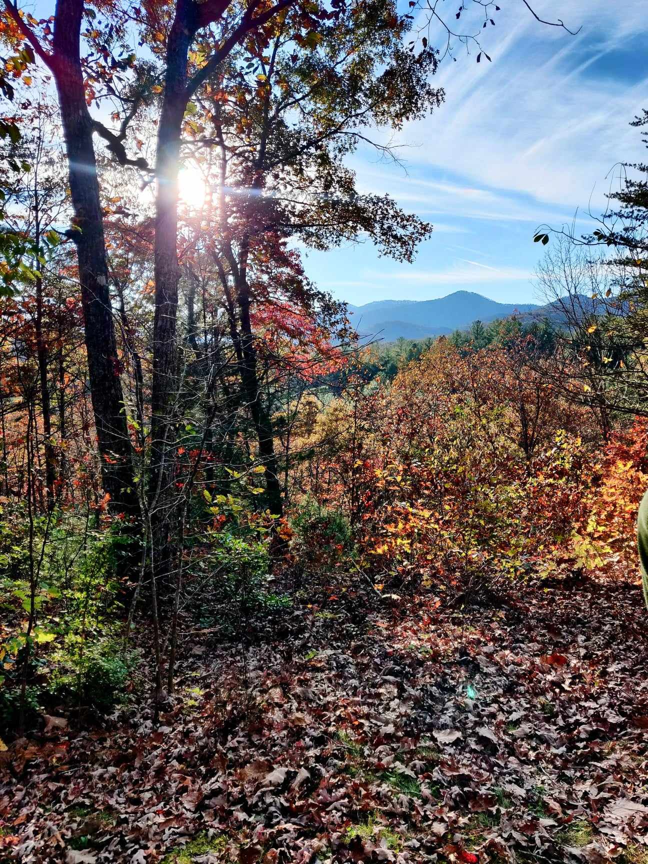 Sun breaking through trees in low mountains with fall foliage.