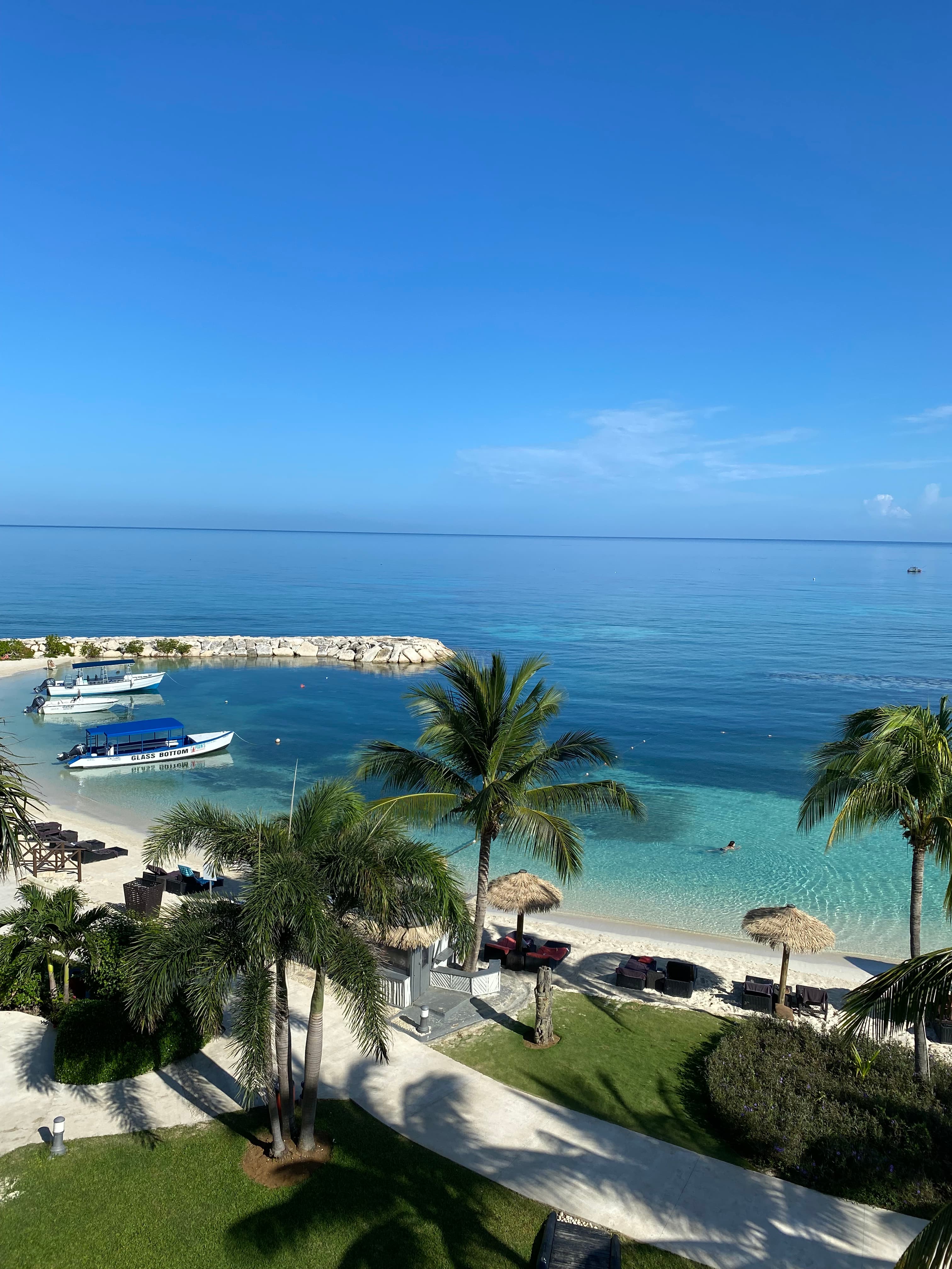 Blue skies overlooking palm trees and the beach.
