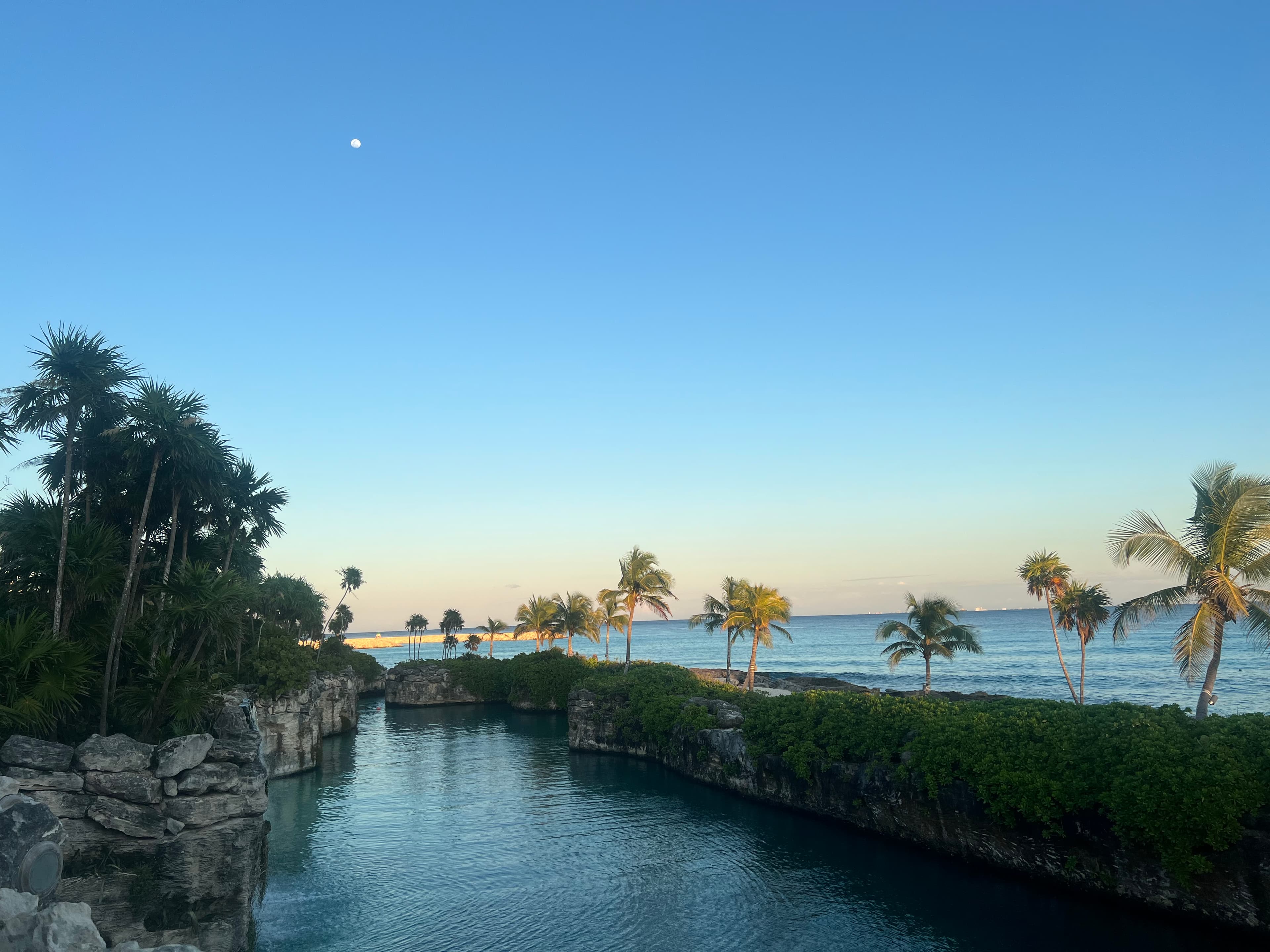 Beautiful view of a coastal area lined with palm trees and a stone wall at sunset