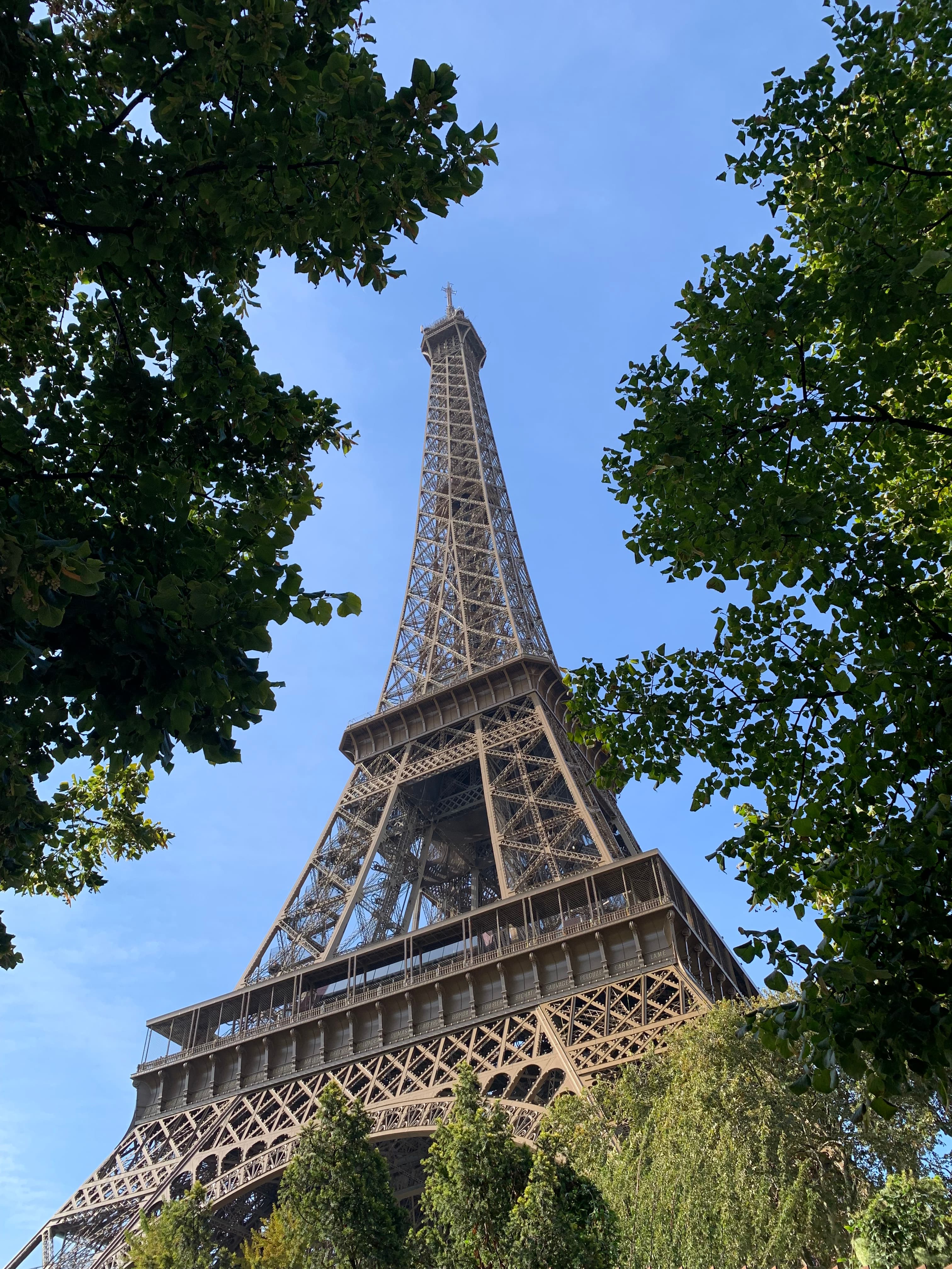 View of the Eiffel Tower during a sunny day as seen from directly below through the trees