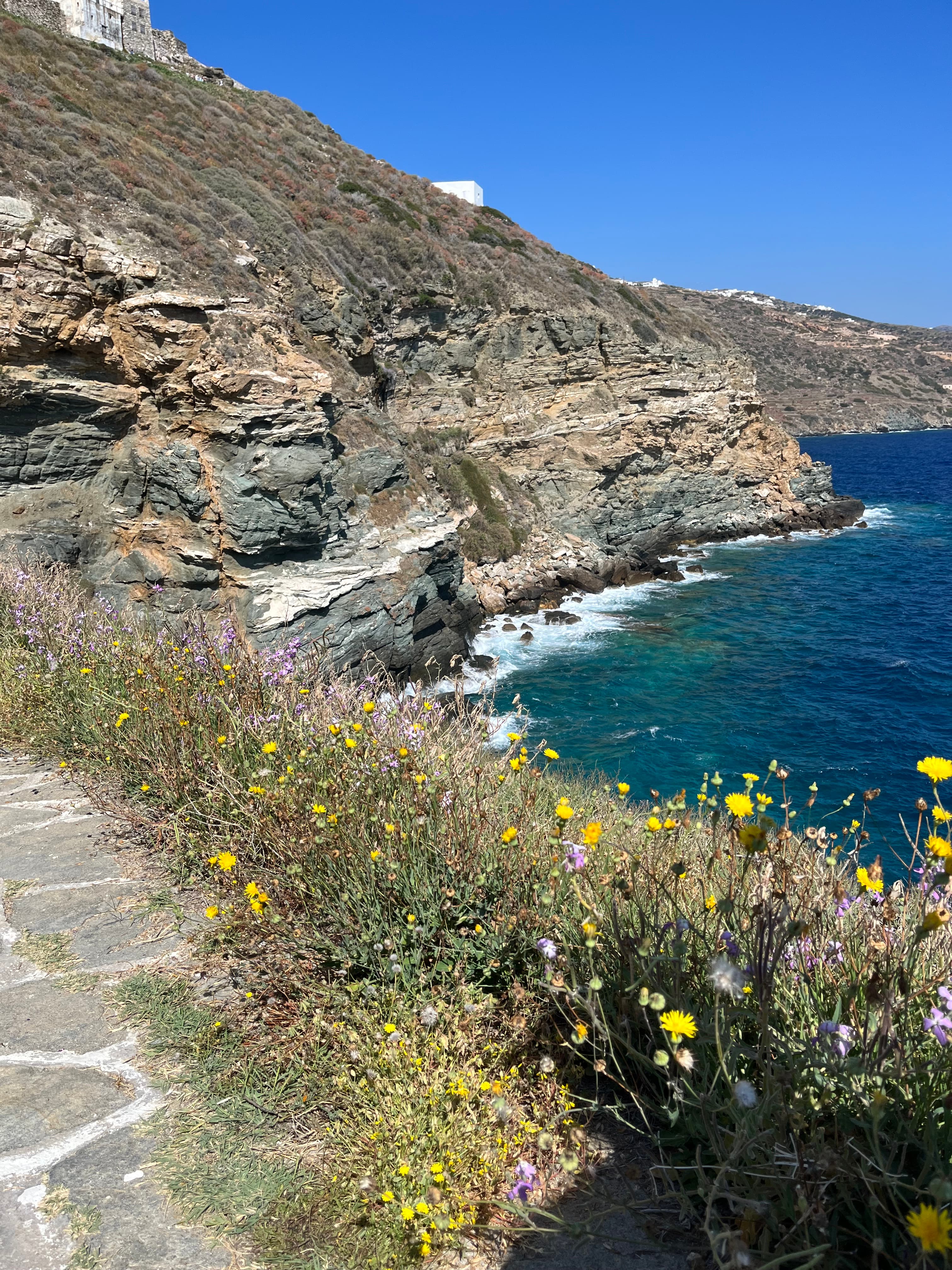 View of water and flowers surrounding a mountain during the daytime.