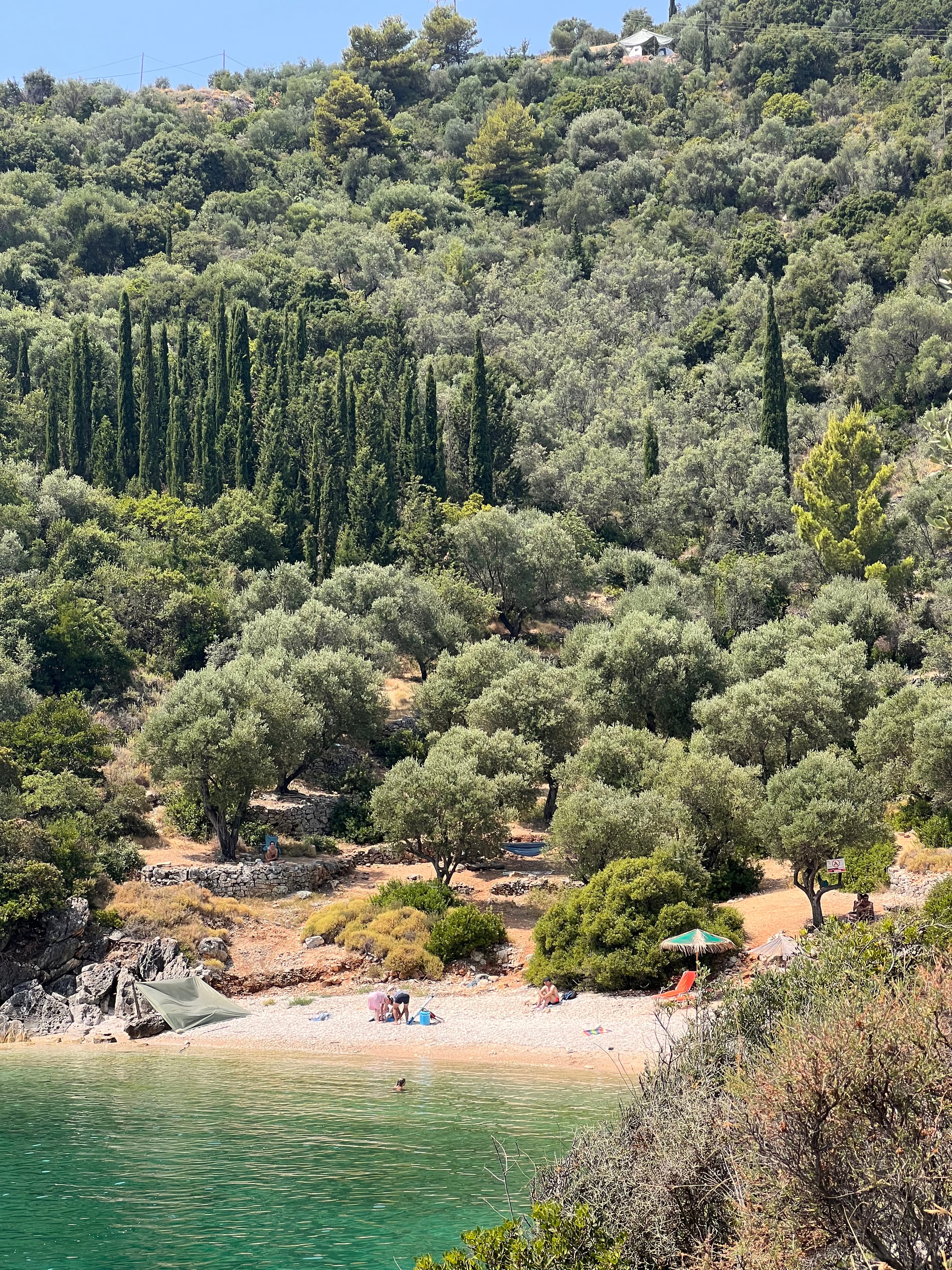 View of a secluded small beach surrounded by trees on a sunny day