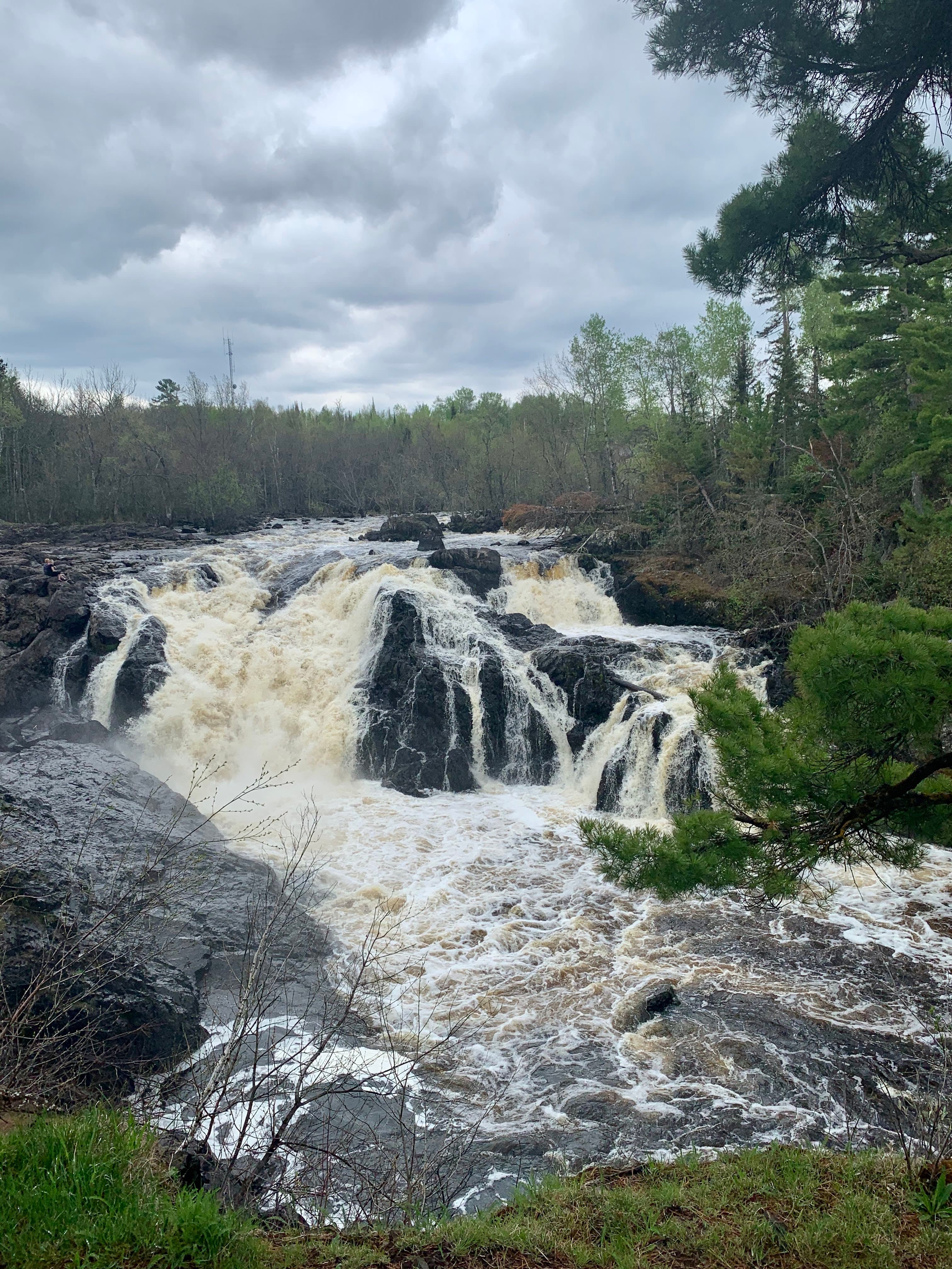 View of a rushing waterfall surrounded by trees on a cloudy day