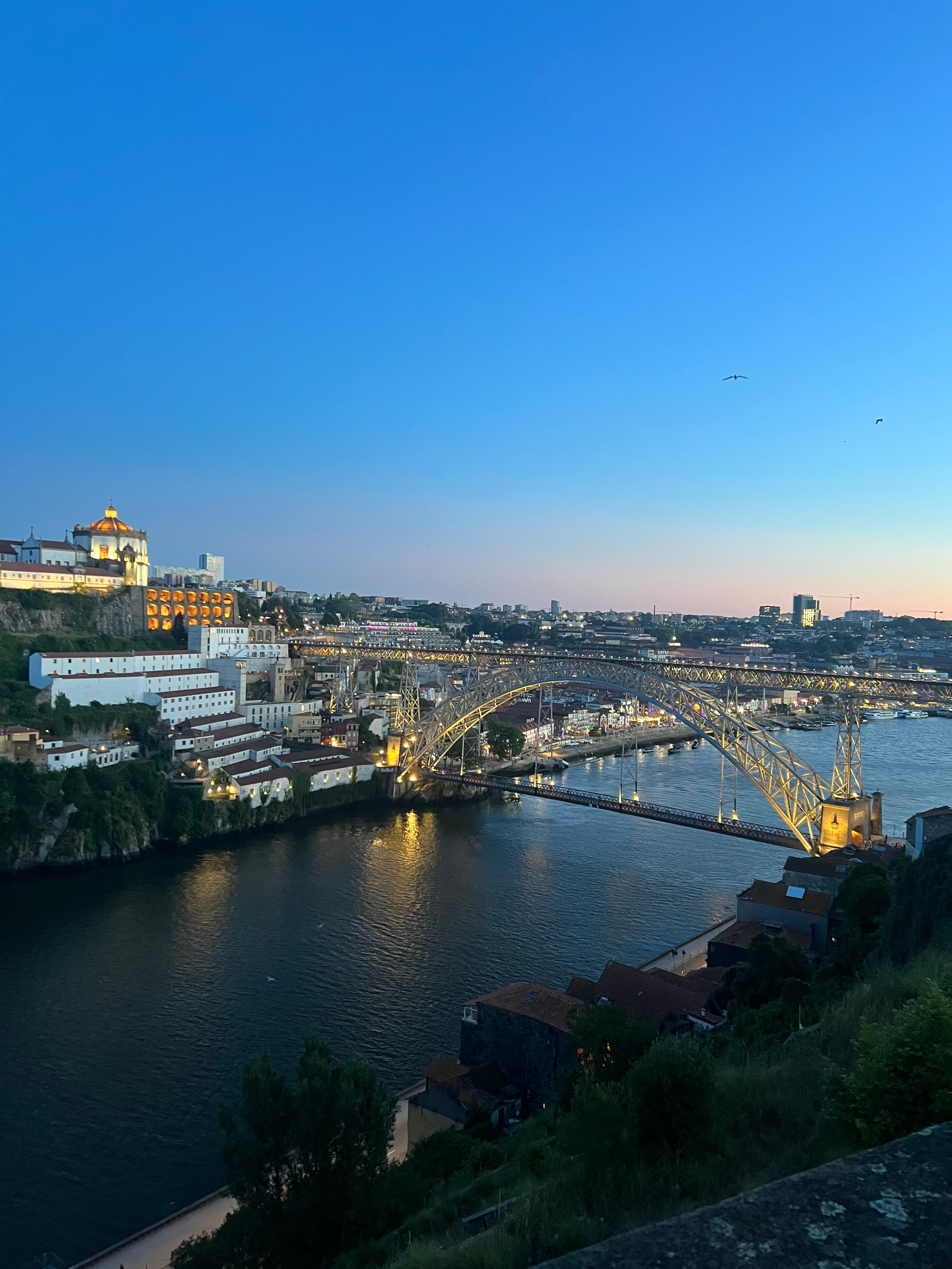 Scenic view from hilltop overlooking river, trees, and distant mountains.
