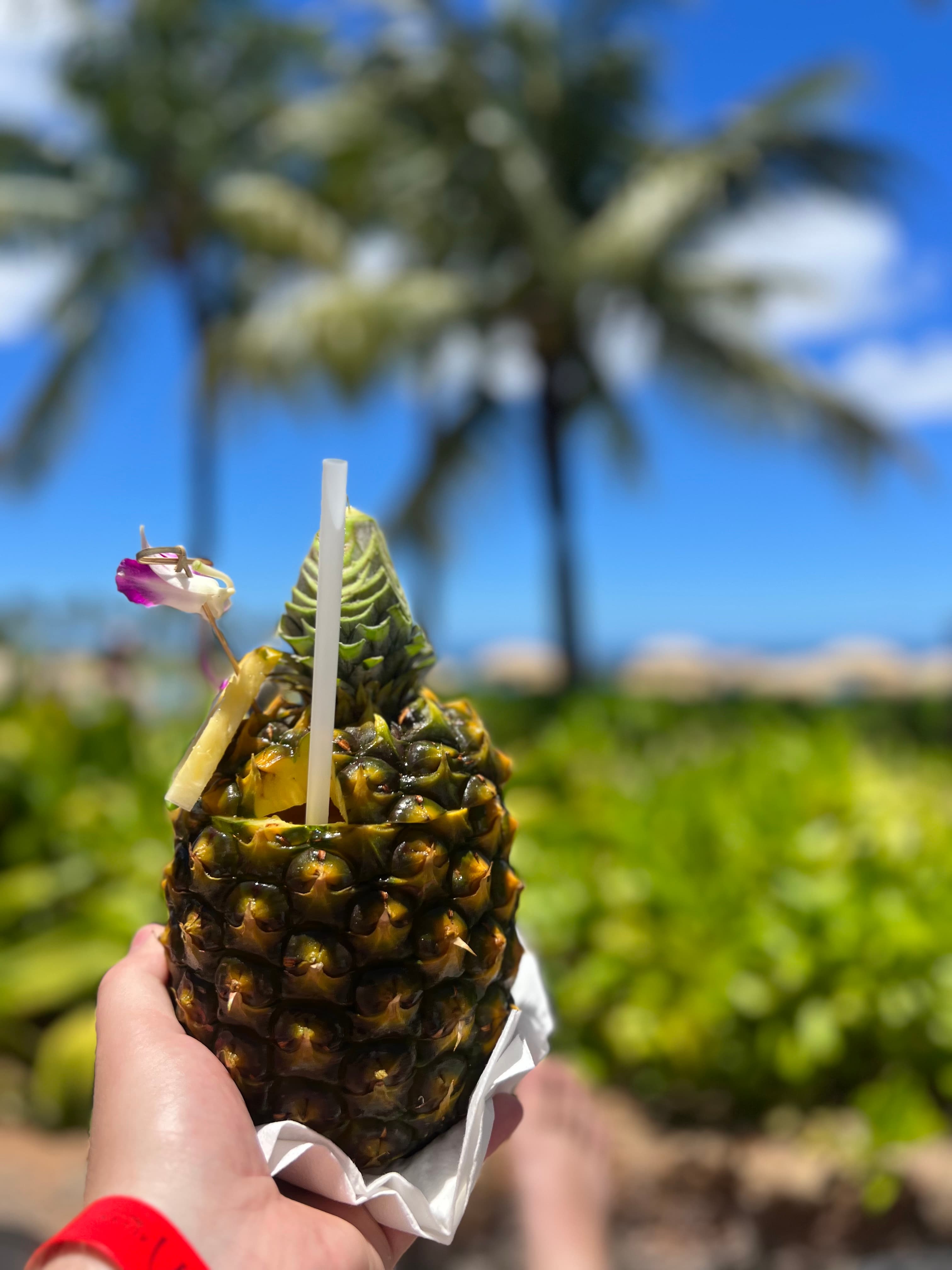Image of a person holding a pineapple with a straw.