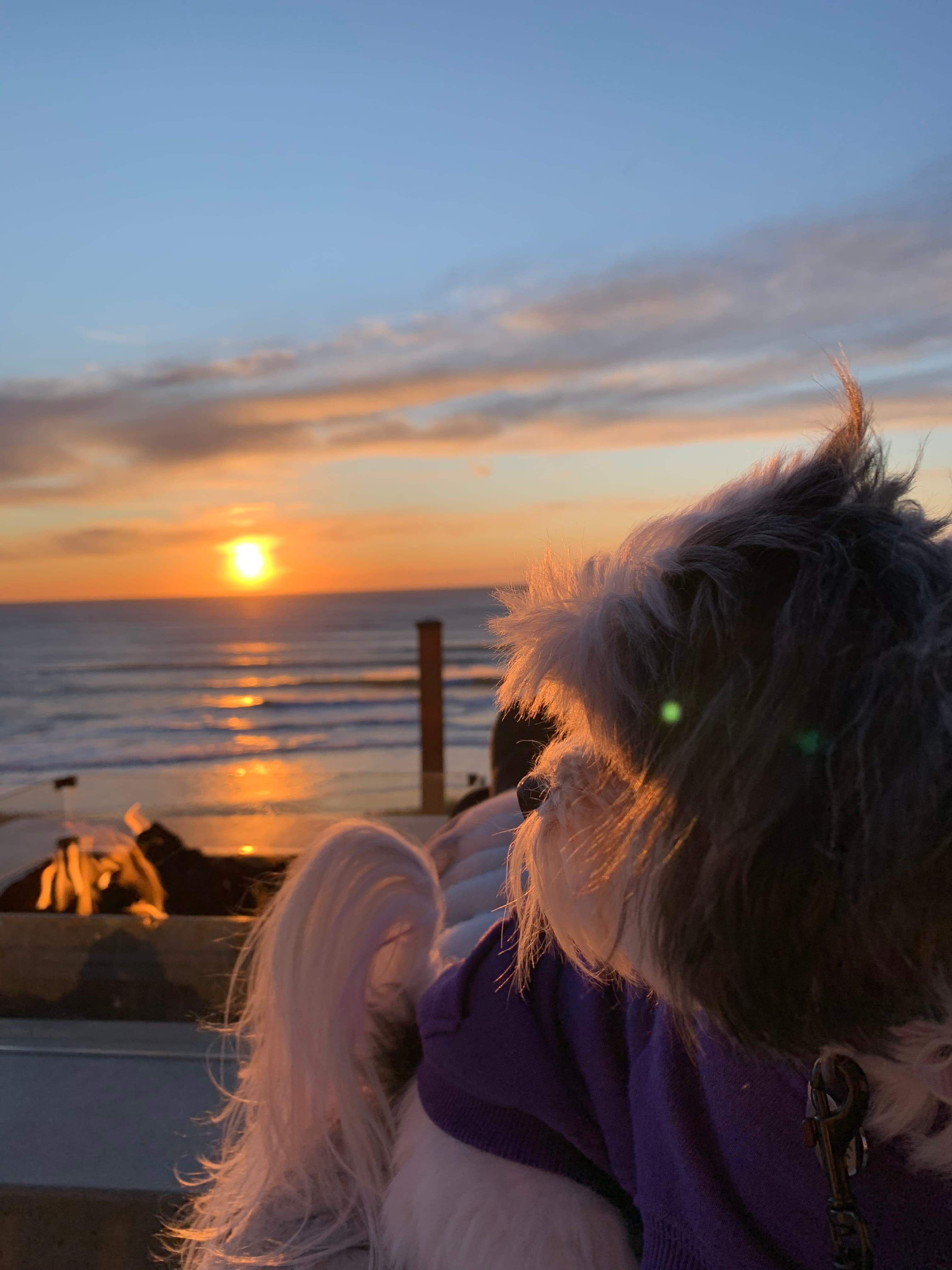 A view of a sunset and a the ocean at dusk.