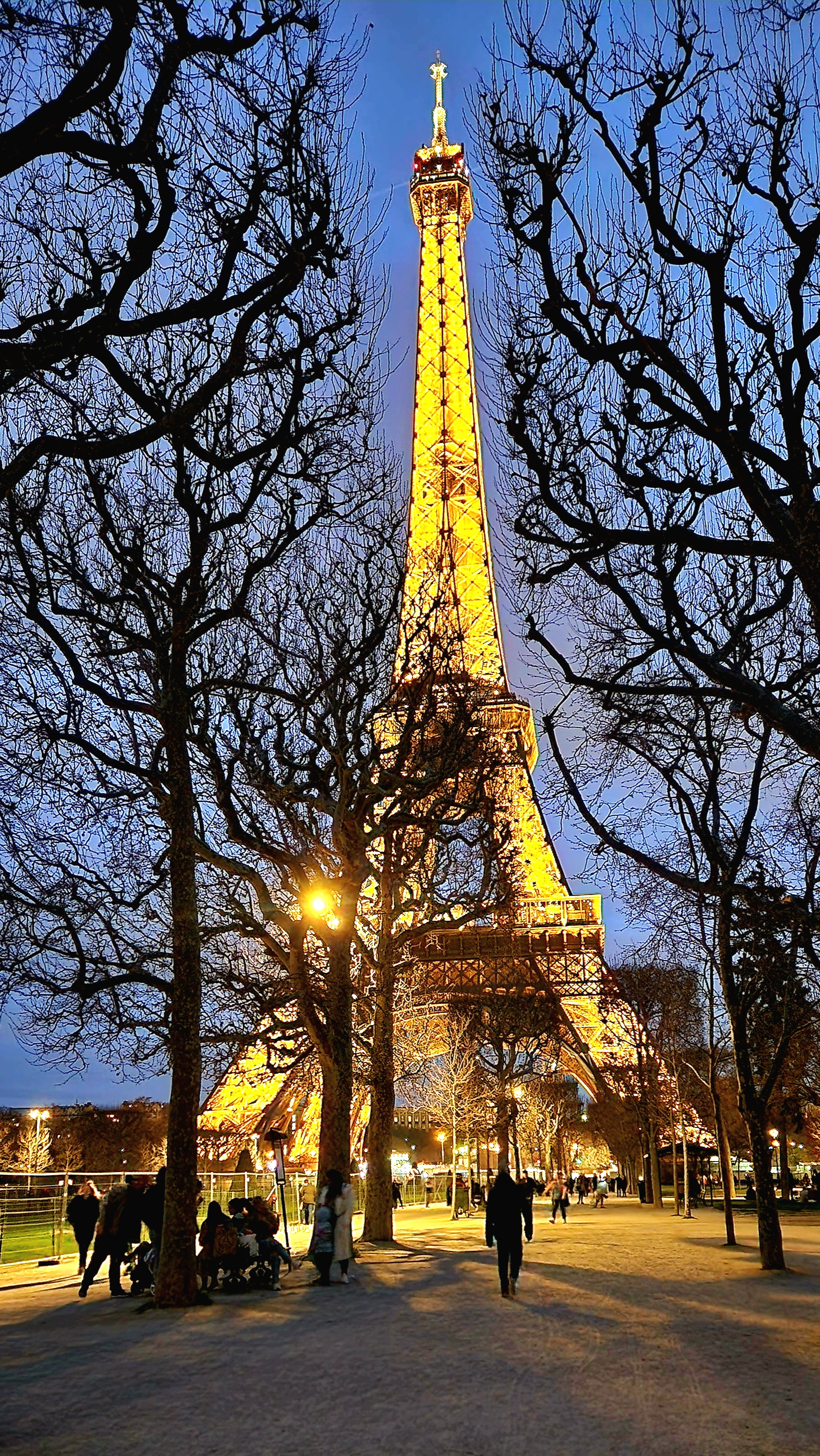 The Eiffel Tower lit up at night behind trees. There are people walking on the ground in front of it.