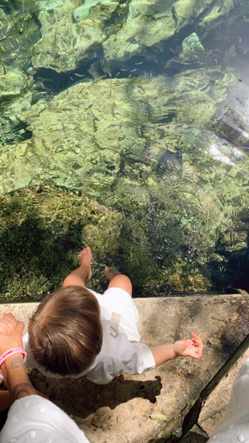 View of a baby sitting on a rock with their feet in a pond.