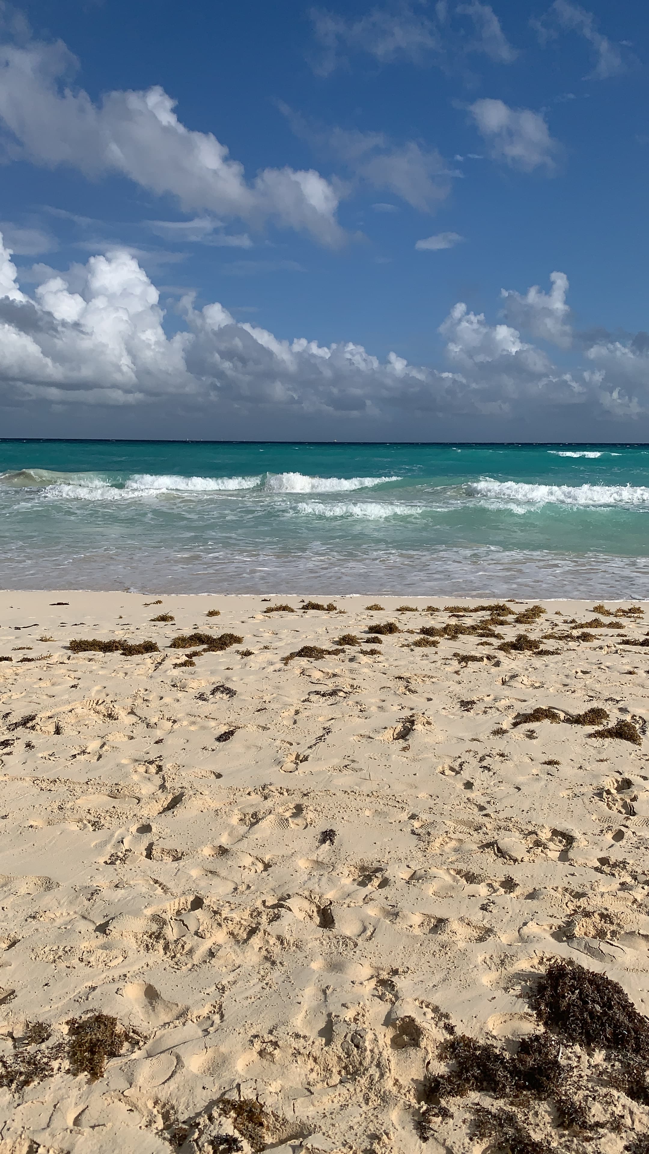 View of the beach during the daytime.