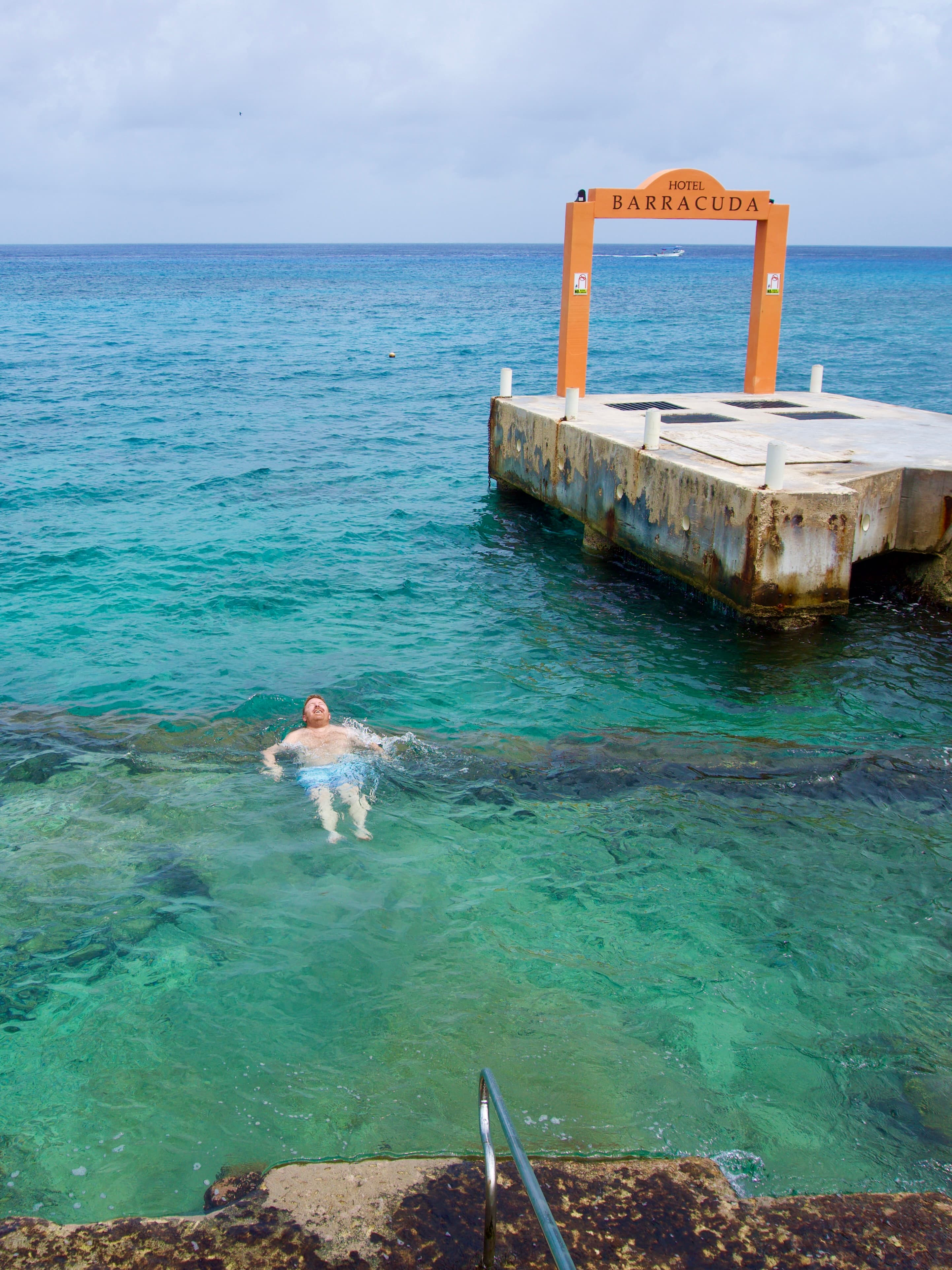 View of advisor floating in shallow ocean water by a rocky shore on a sunny day