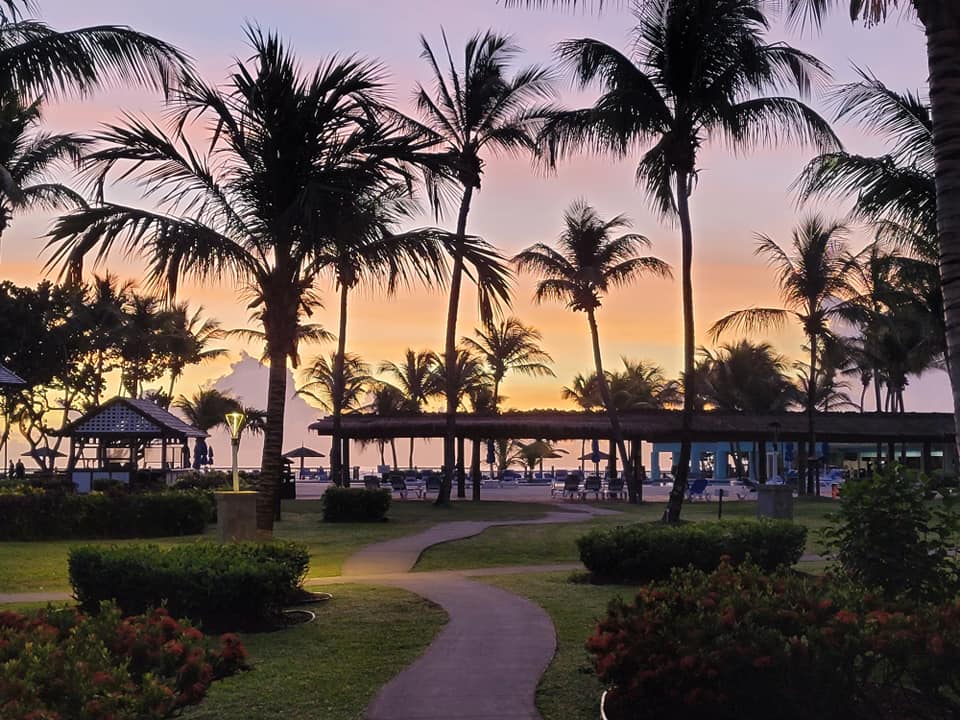 Beautiful view of an orange and pink sunset behind many palm trees in silhouette at a resort