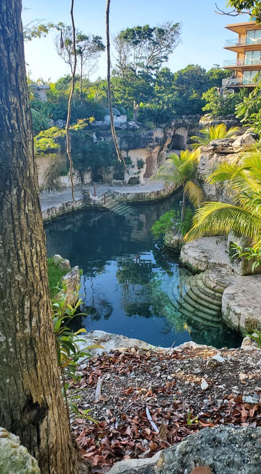 View of a pool surrounded by trees at Mexico’s Xcaret hotel on a sunny day