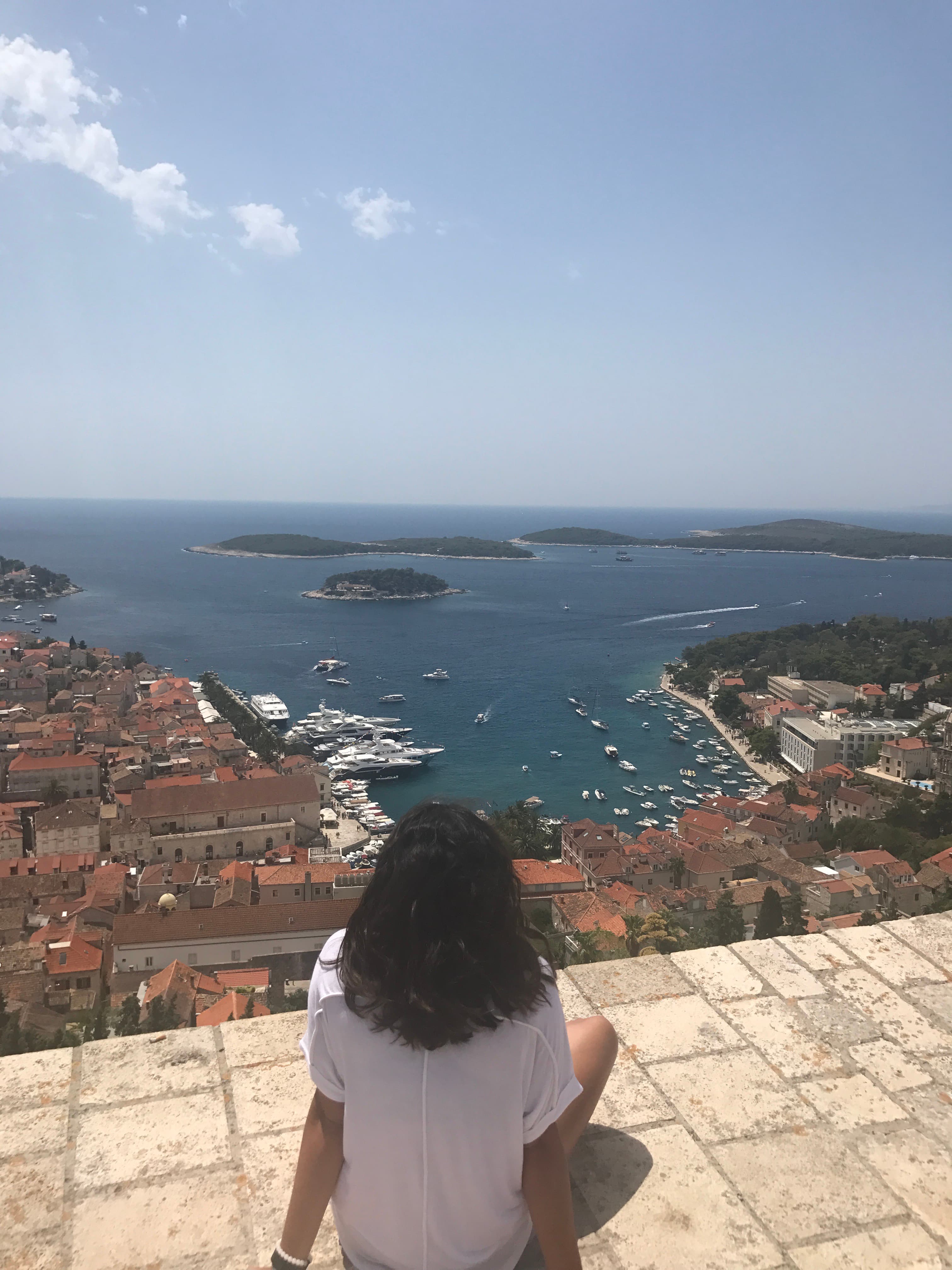 View of advisor sitting on a ledge overlooking a coastal cityscape and nearby marina on a sunny day