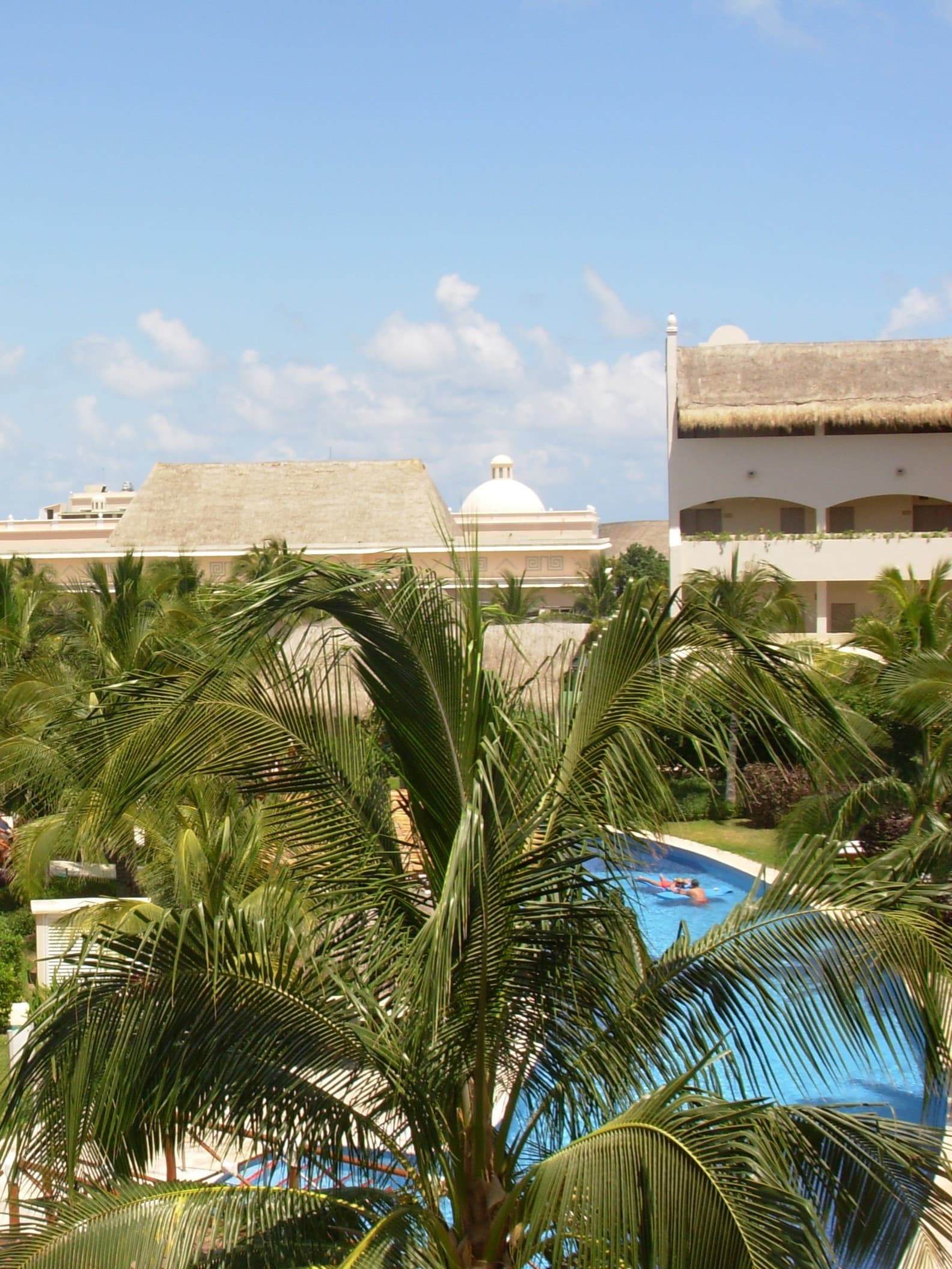 View of the top of a large palm and hotel pool/buildings visible in the background on a sunny day