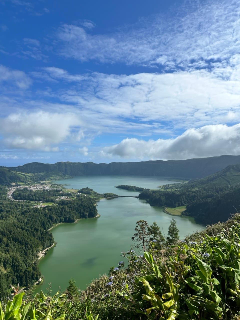 Scenic view from a hilltop of the lake below.