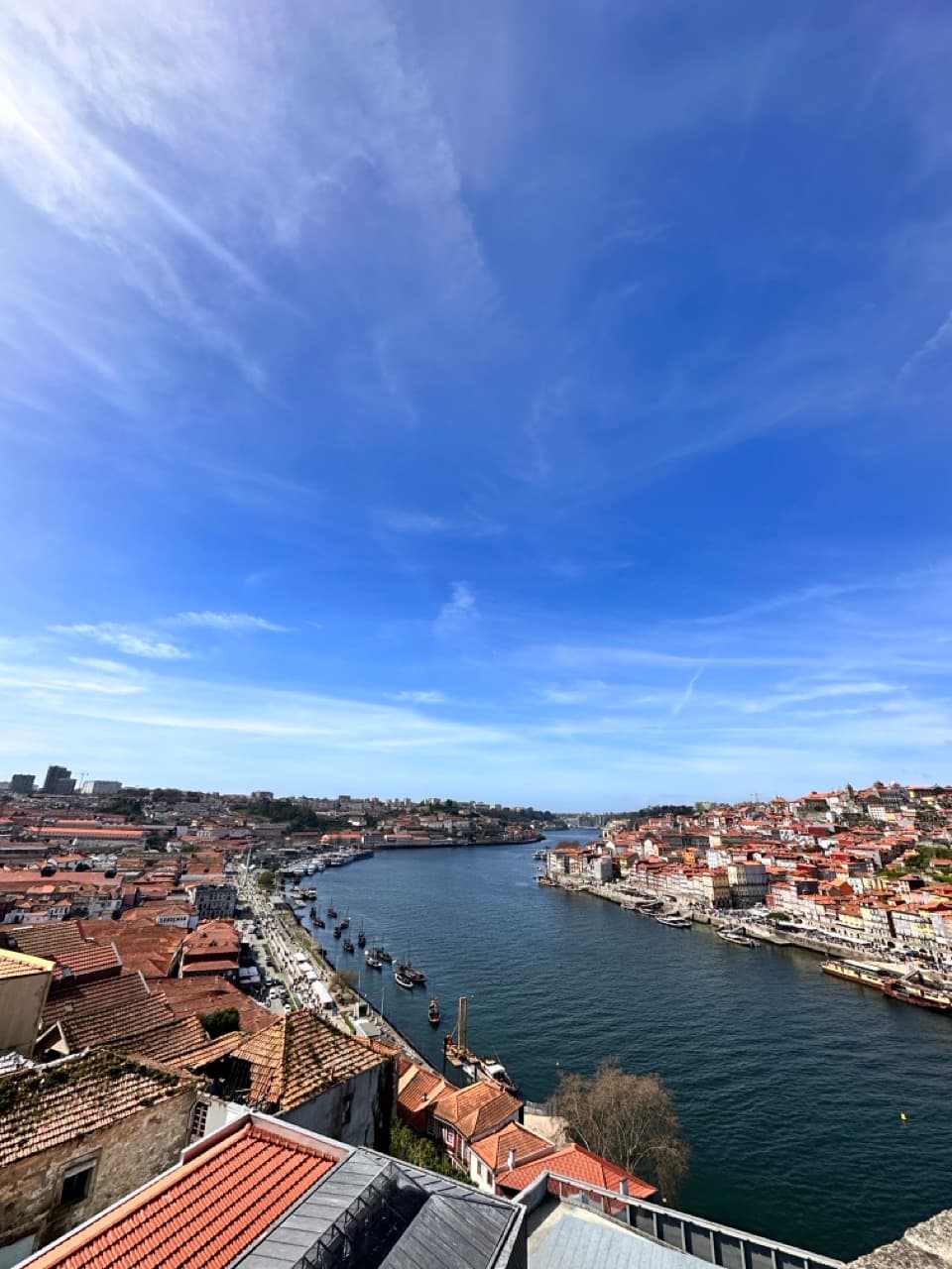 Aerial view of Porto's cityscape from the top of a tower.