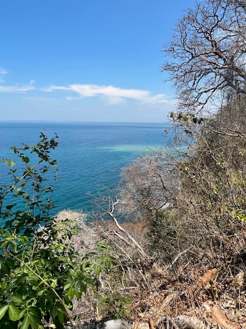 View of the ocean and coastline on a sunny day