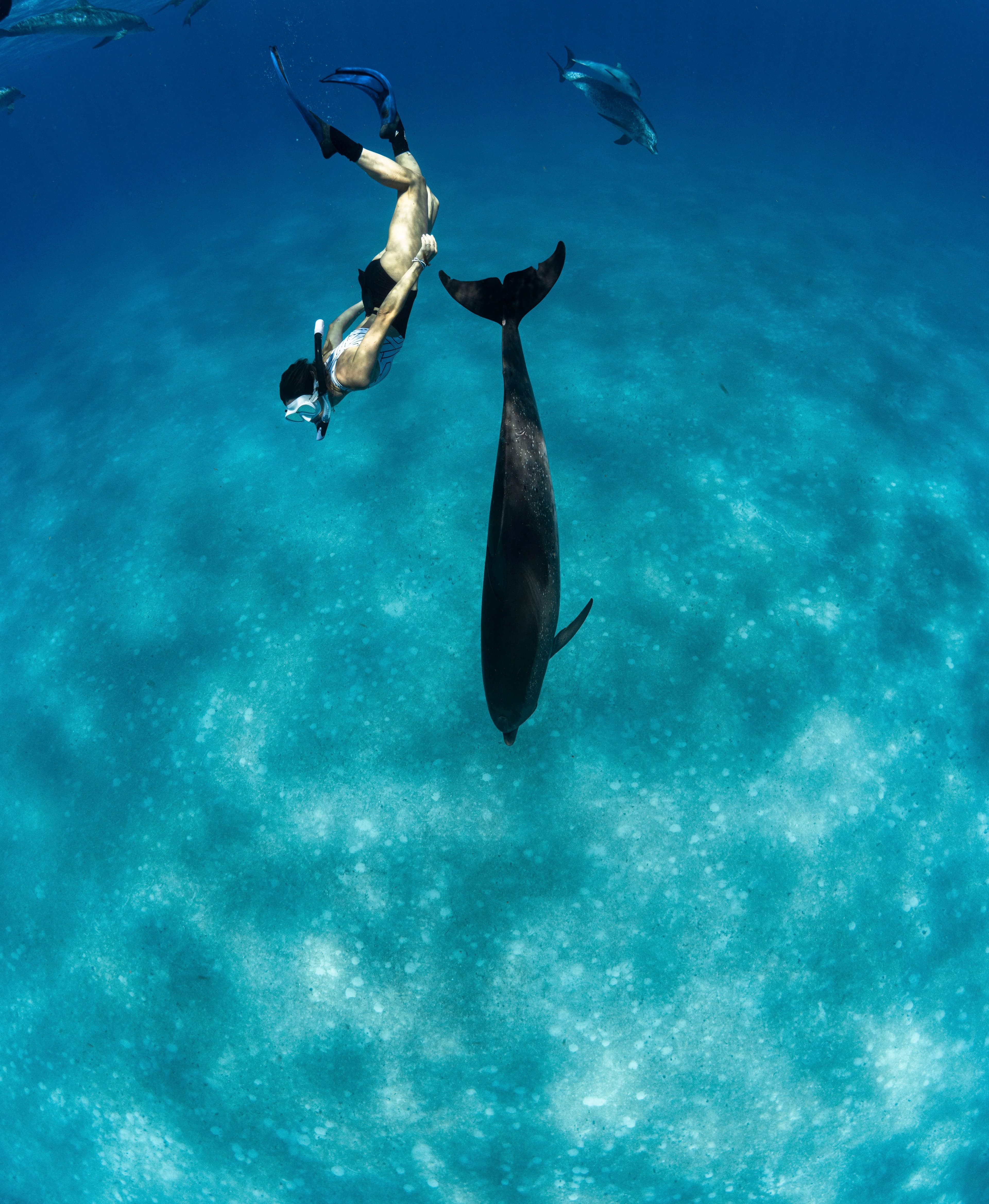 Underwater view of Jill snorkeling with a dolphin in the ocean